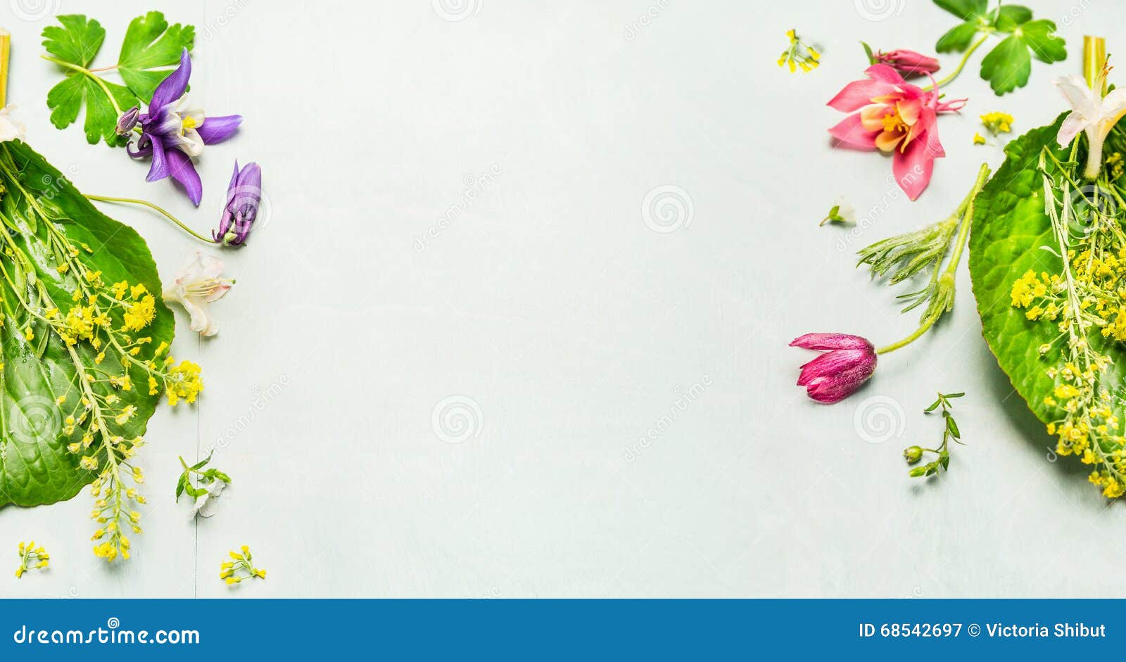 871,670 Herbal Background Stock Photos - Free & Royalty-Free Stock Photos  from Dreamstime