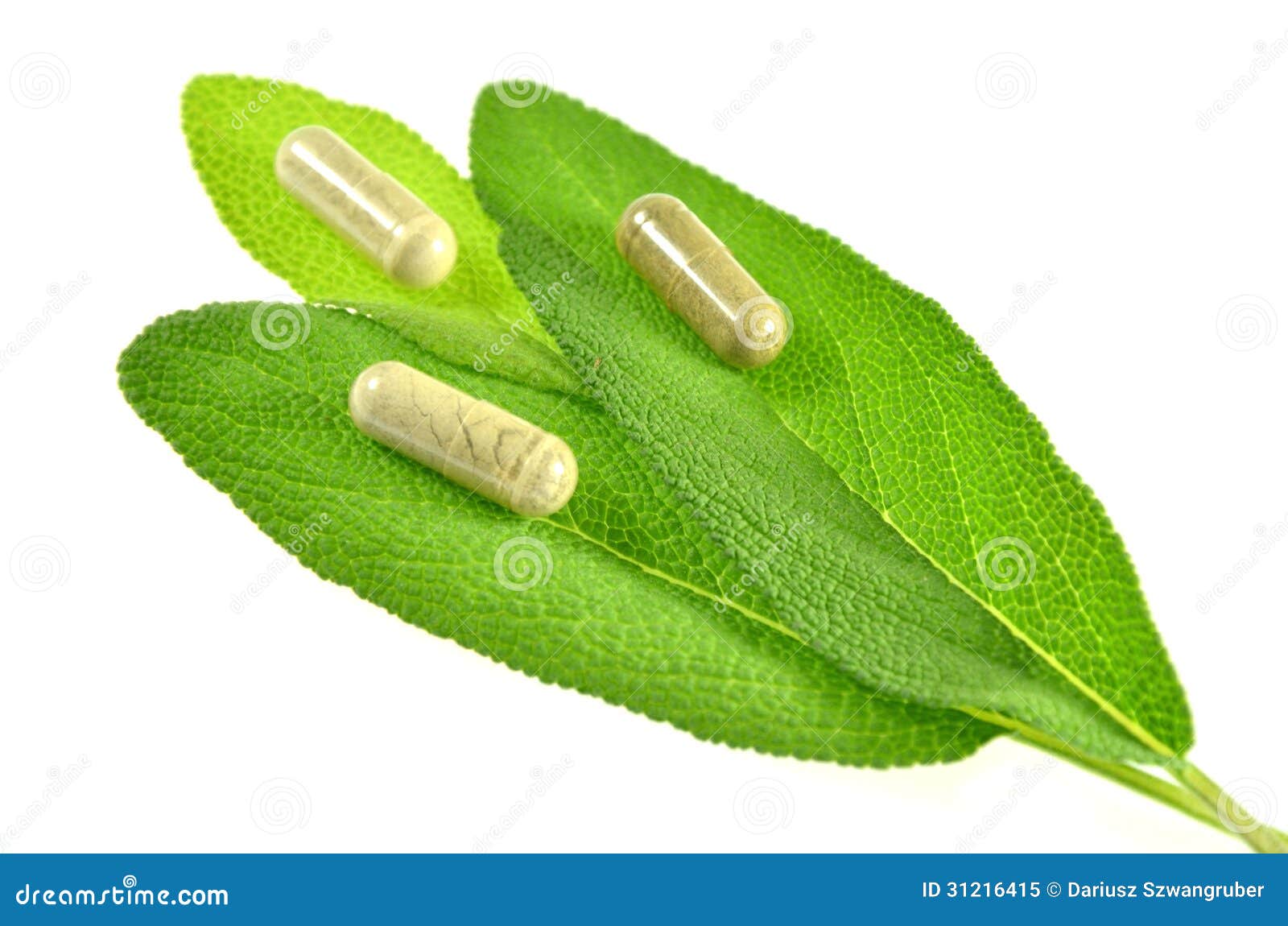 Herbal Capsules on Sage Leaves Stock Image Image of leaf
