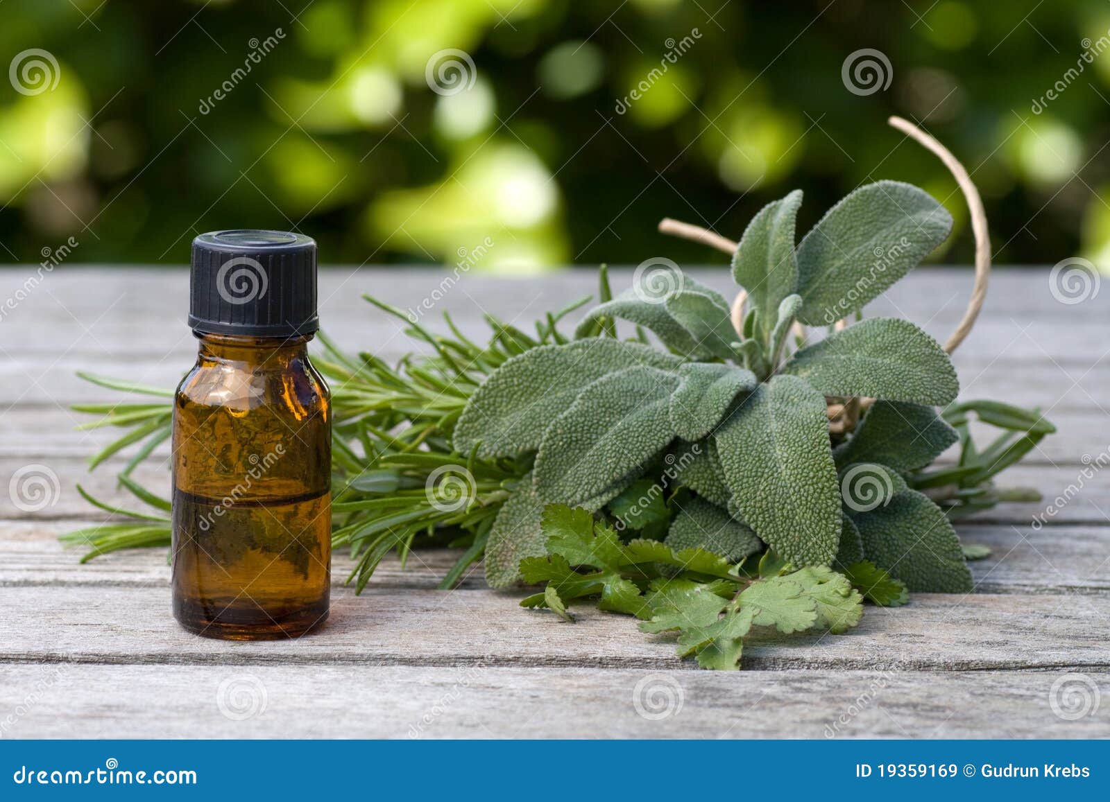 Herbal Essence with Sage and Rosemary Stock Image Image of condiments