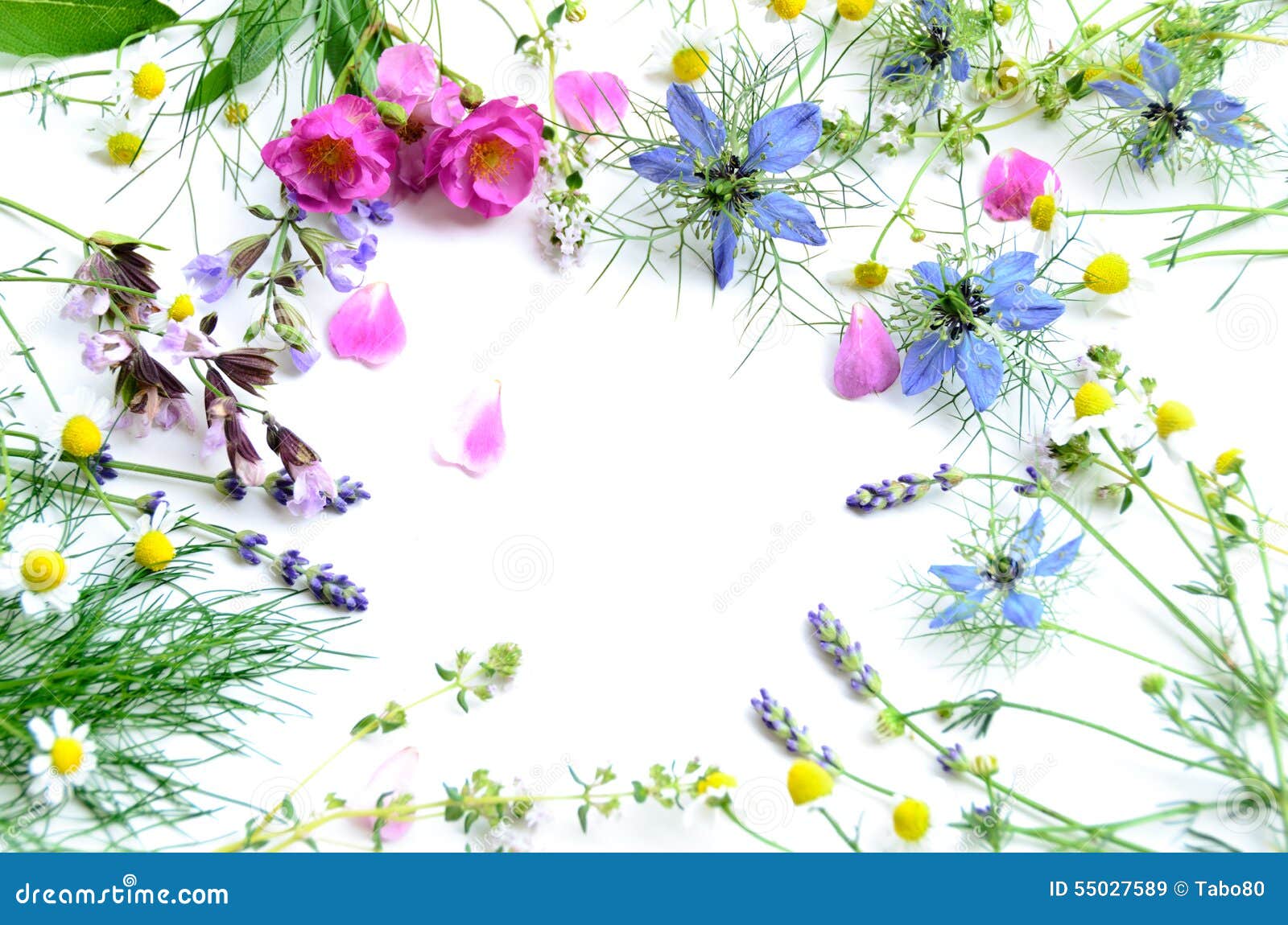 Herbal flowers stock image. Image of plants, herbs, herbal 55027589