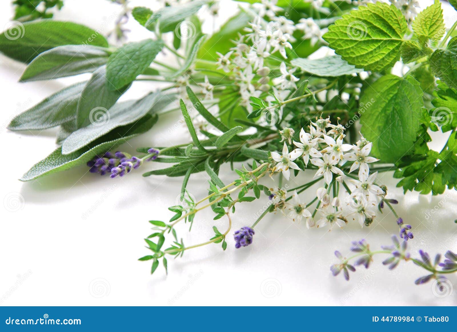 Herbal flowers and leaves stock photo. Image of flowers 44789984