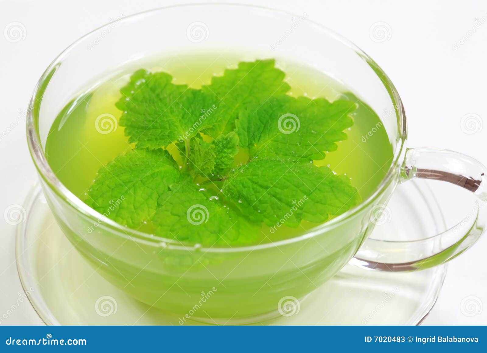 Herbal green tea stock image. Image of dining, fruits 7020483