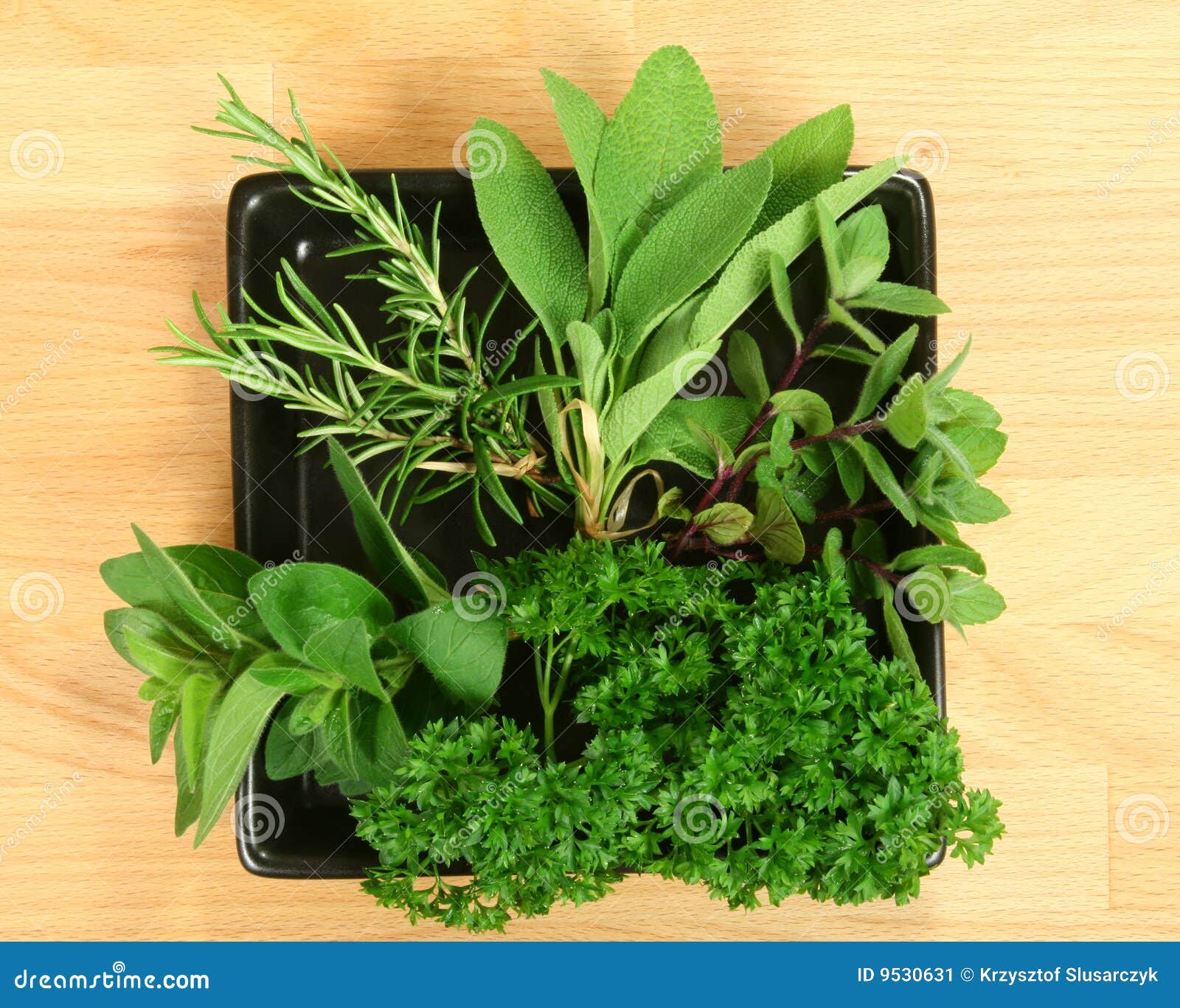 Herbal ingredients stock image. Image of cook, culinary 9530631