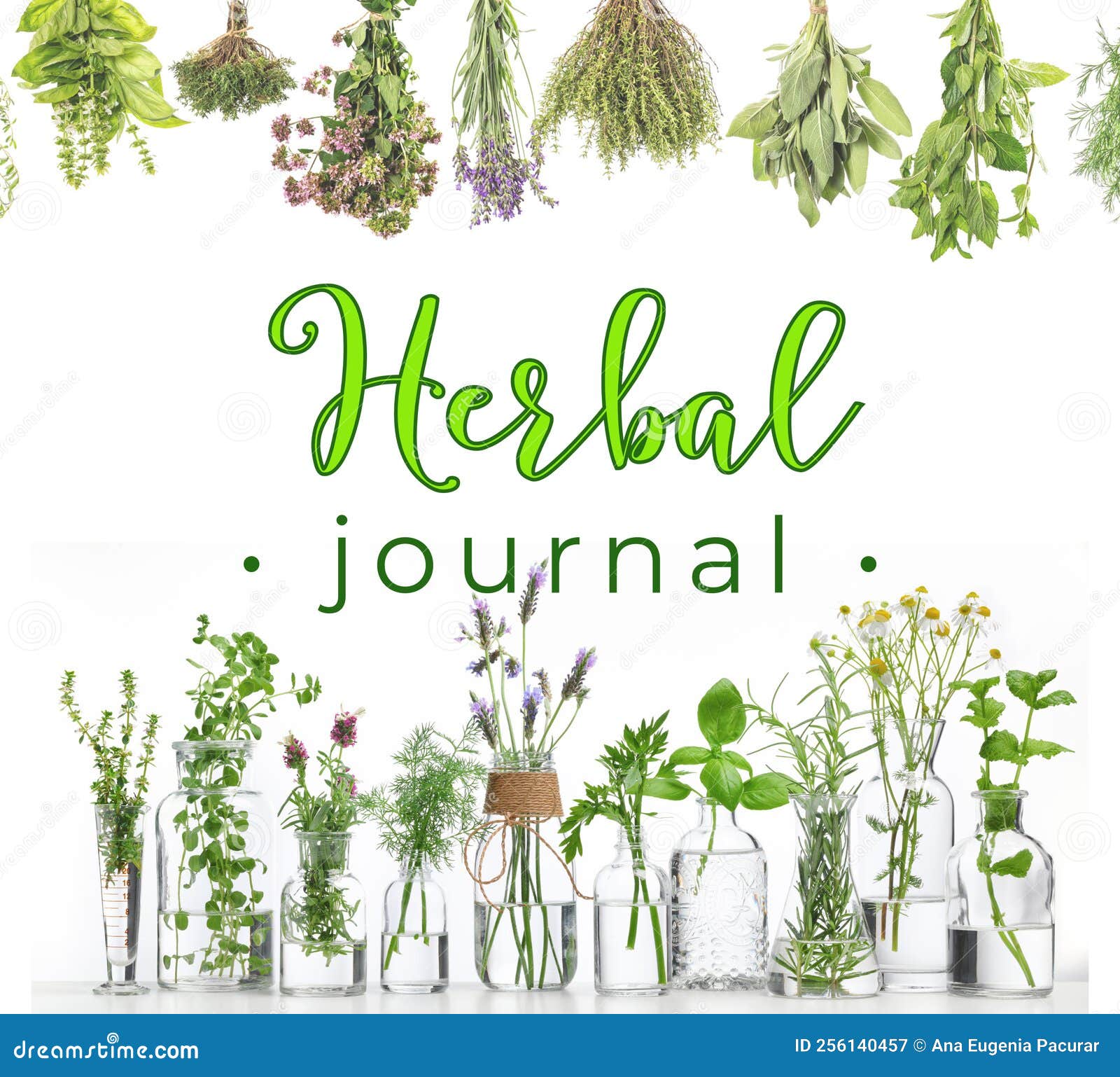 Herbal Journal Inspirational Cover or Background Stock Image Image of