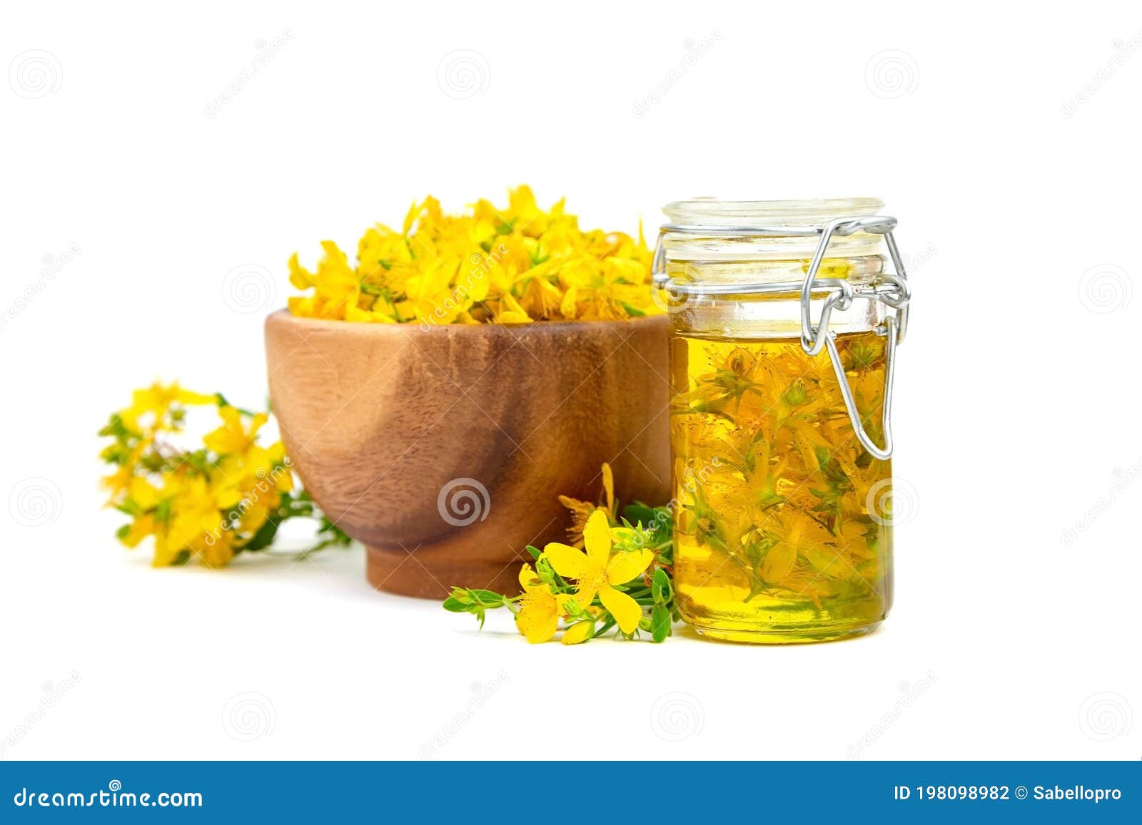 herbal medicine - hypericum perforatum, st johns wort or tutsan herb oil with flowers  on white