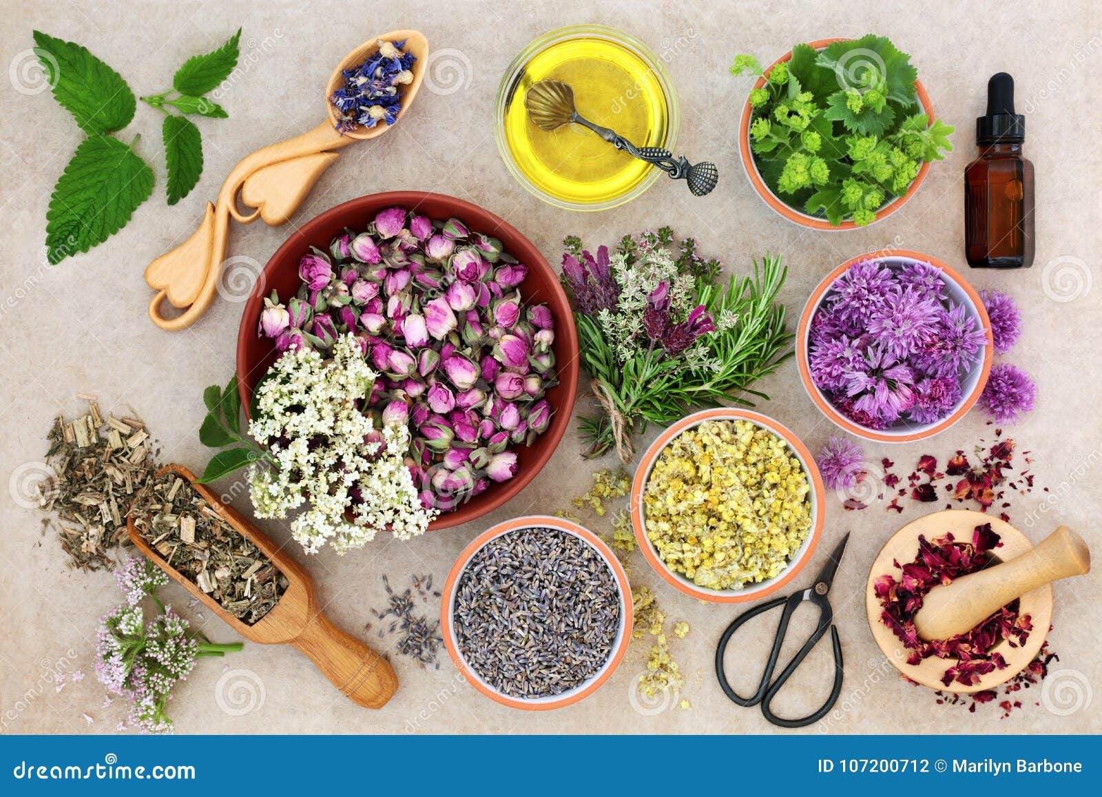 herbal medicine preparation