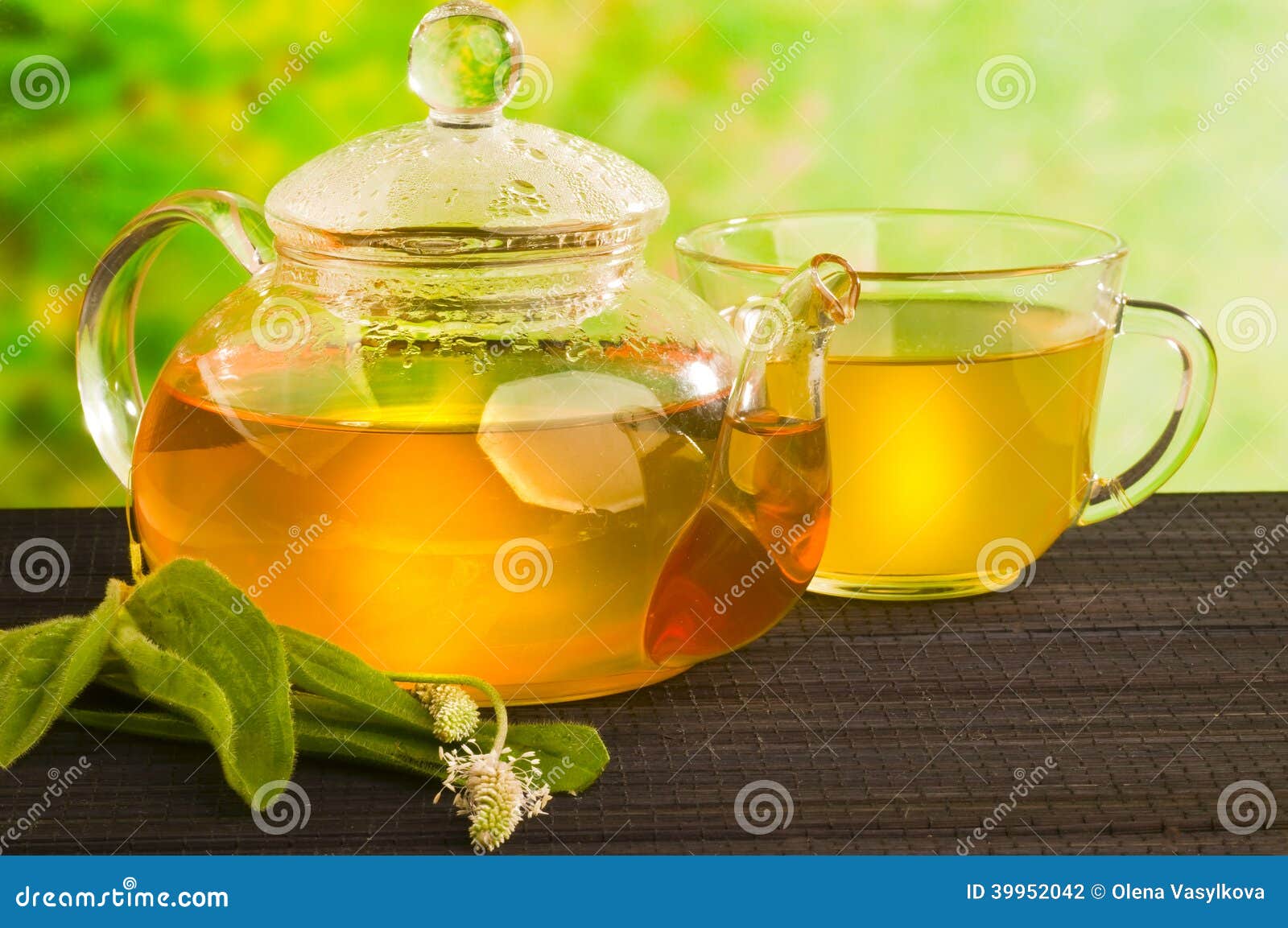 Herbal Medicine, Tea with Plantago Lanceolata Stock Photo Image of