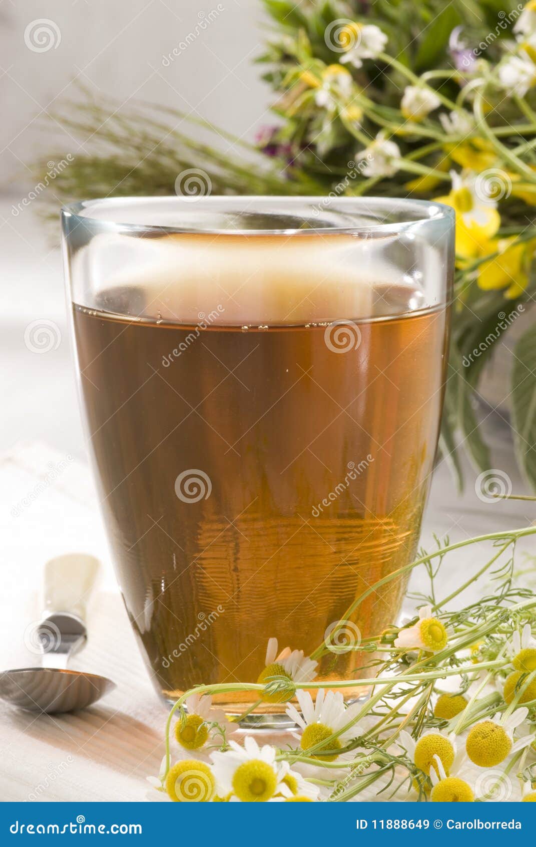 Herbal tea. Camomille stock image. Image of studio, infusion 11888649
