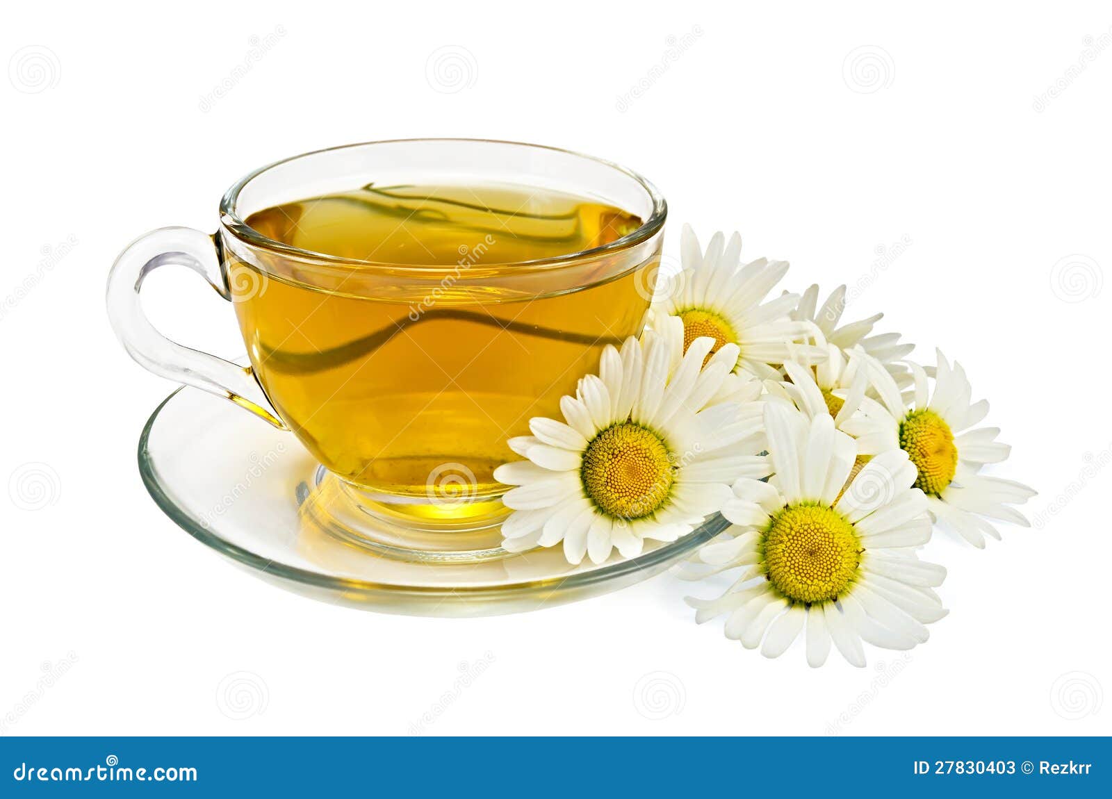 Herbal tea with chamomile stock image. Image of liquid 27830403