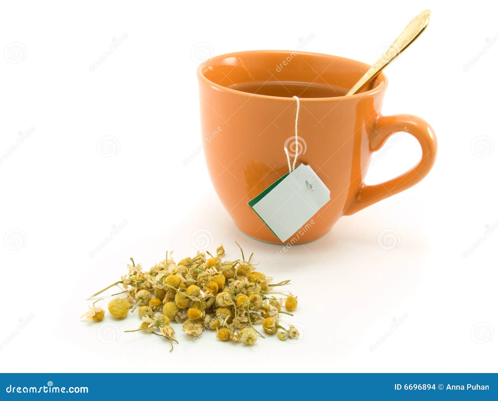 Herbal tea and chamomile stock photo. Image of medicine 6696894