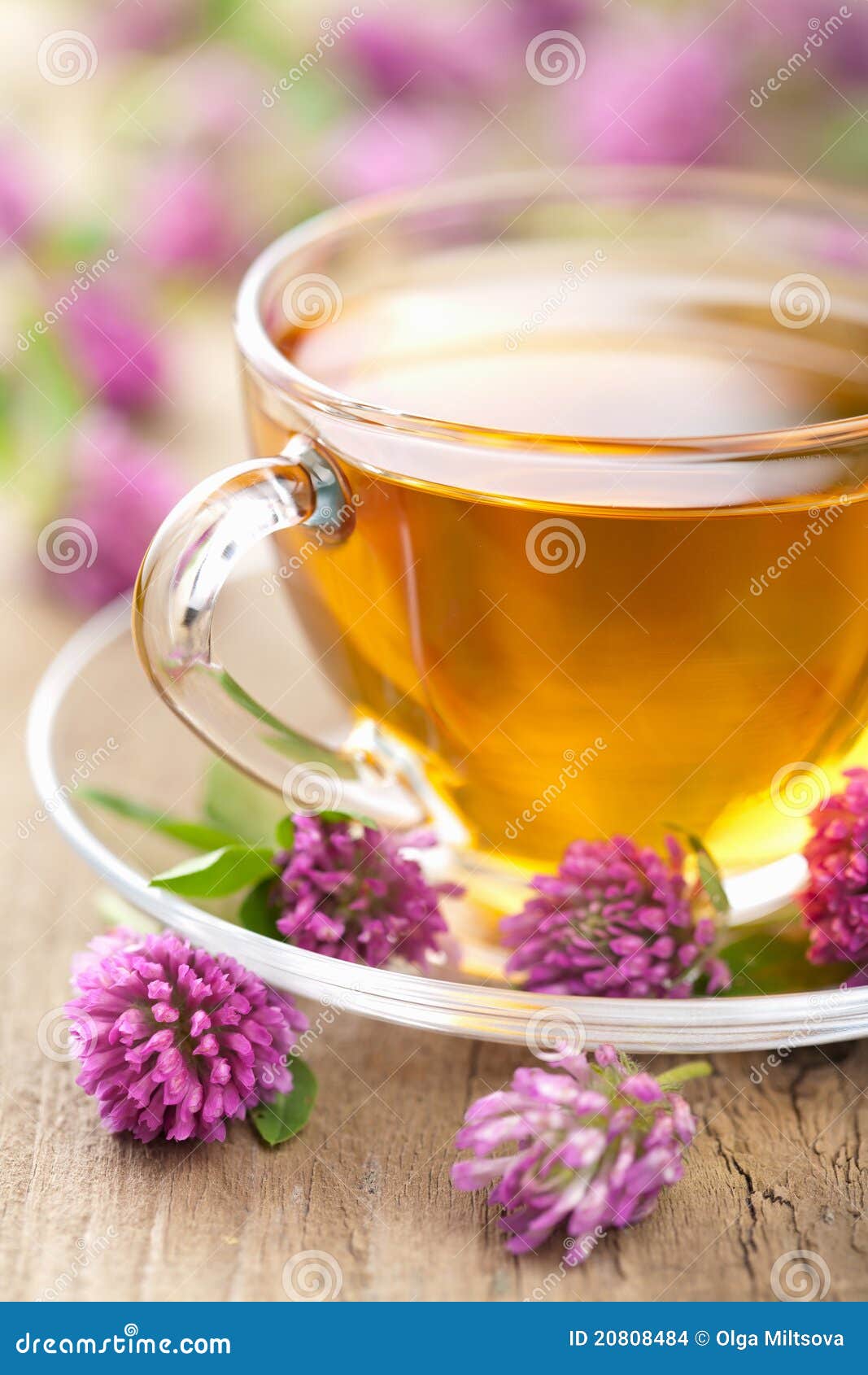 Herbal Tea and Clover Flowers Stock Photo Image of flower, gourmet
