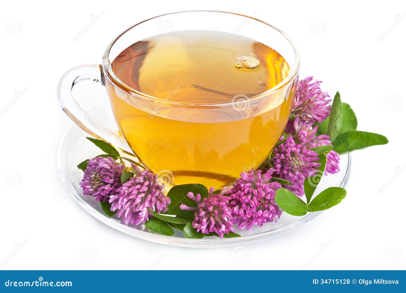 Herbal Tea and Clover Flowers Over White Stock Photo Image of