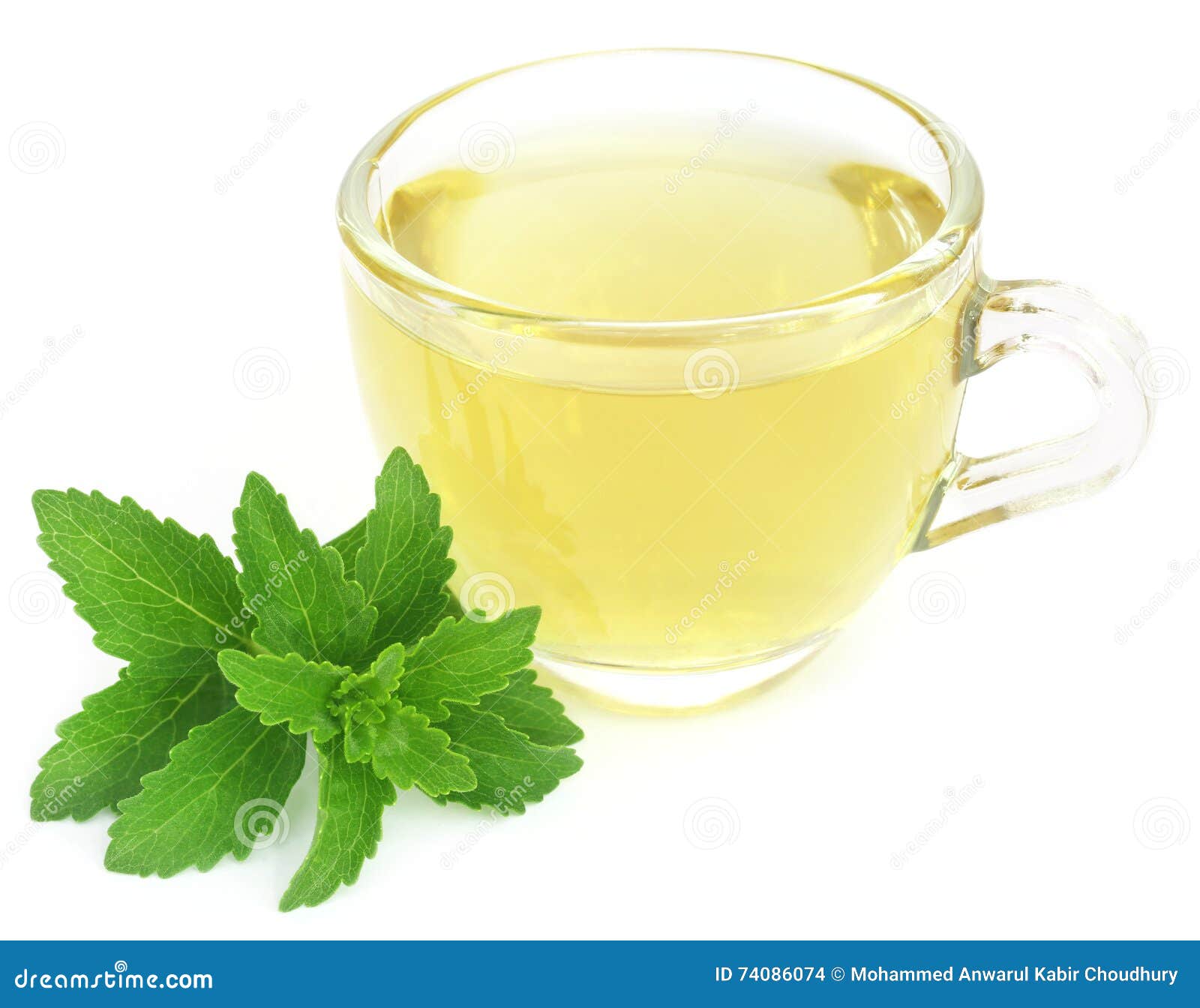Herbal Tea in a Cup with Stevia Leaves Stock Photo Image of glycoside, isolated 74086074