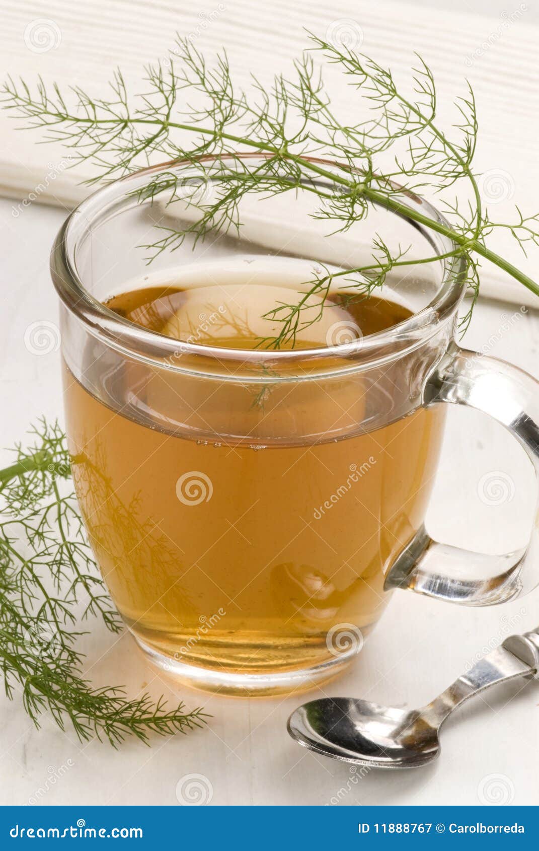 Herbal tea. Fennel. stock image. Image of foeniculum 11888767