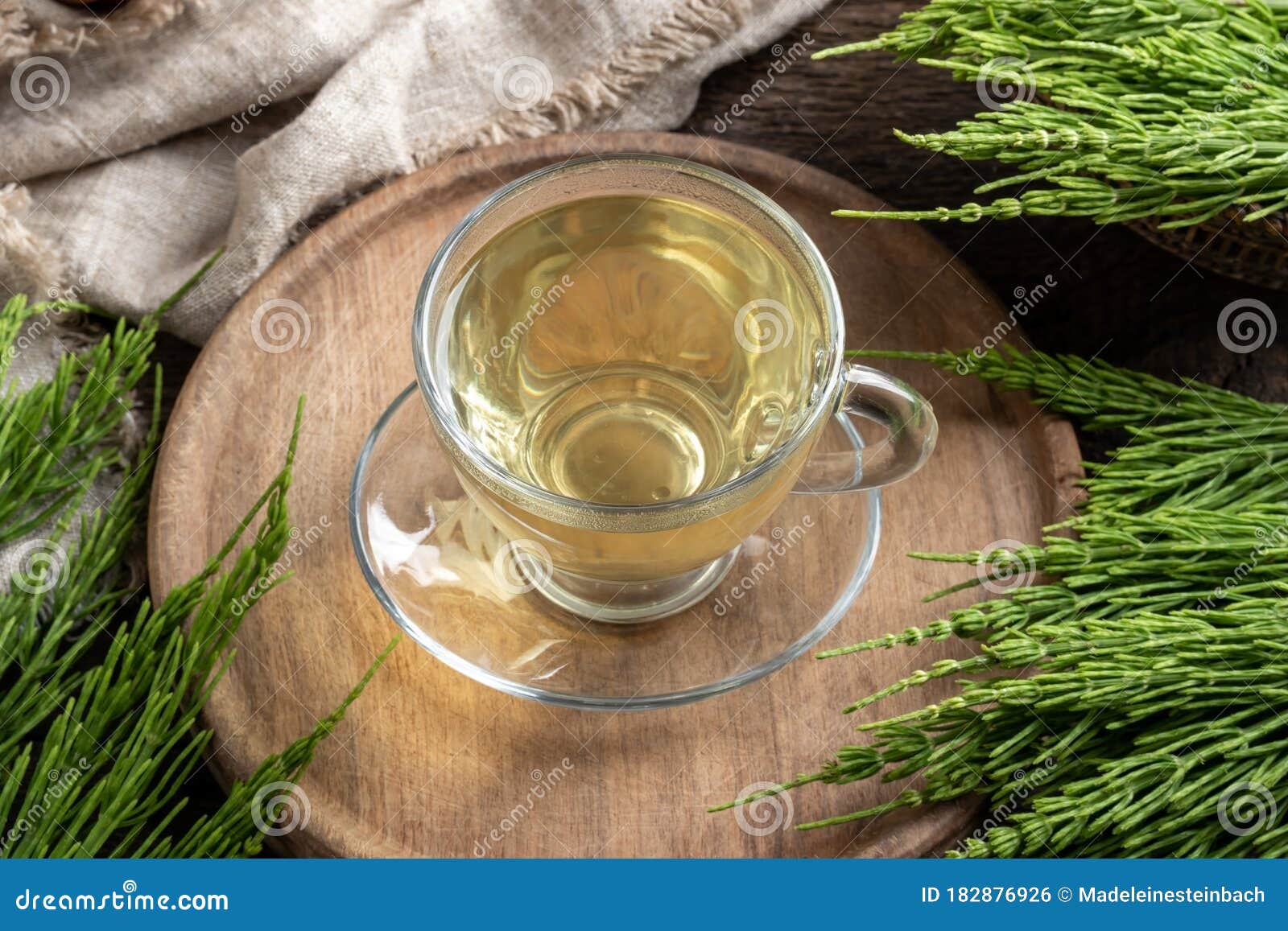 Herbal Tea with Fresh Horsetail Twigs Stock Photo Image of nature, foraging 182876926