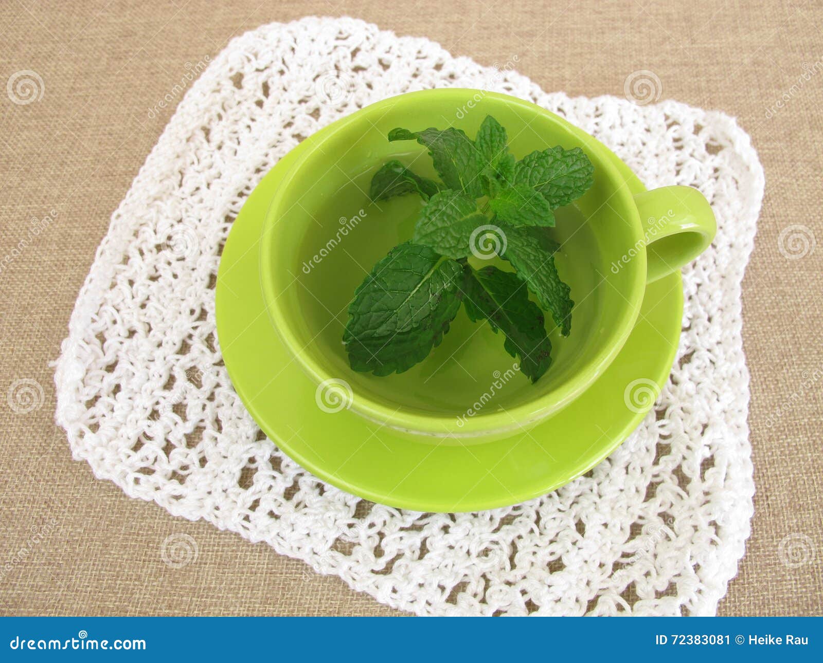 Herbal Tea with Fresh Mint Leaves Stock Image Image of peppermint