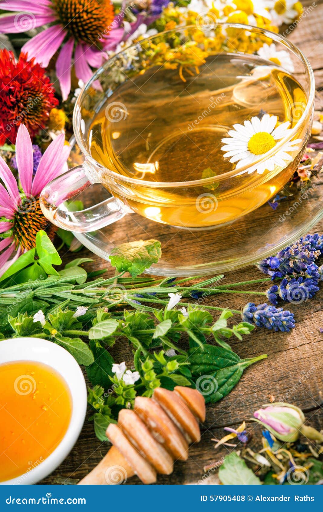 Herbal tea with honey stock photo. Image of kitchen, herbal 57905408