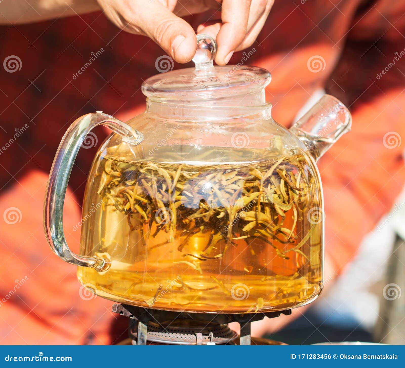 Herbal tea in a kettle stock photo. Image of herbal 171283456