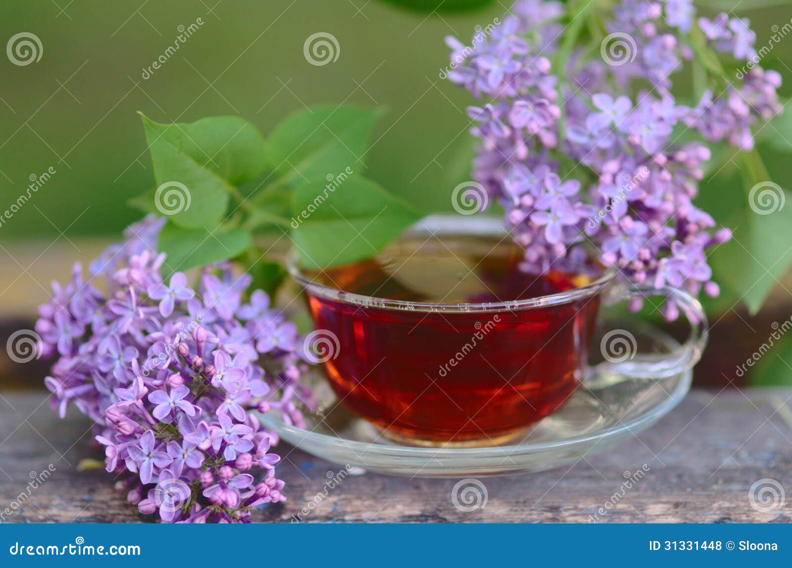 Herbal Tea with Lilac Flower Stock Photo Image of flower, spring