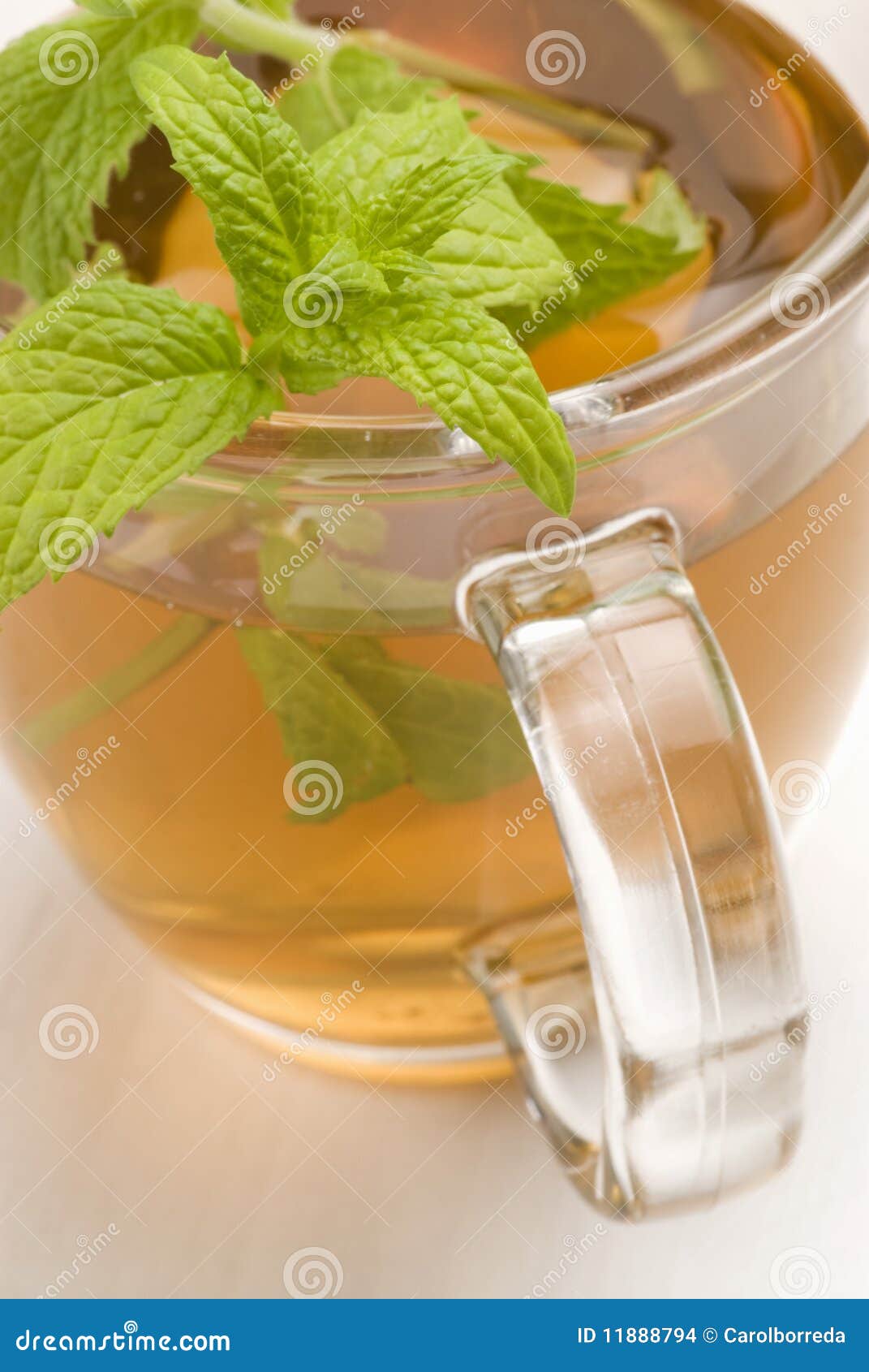 Herbal tea. Mint. stock photo. Image of vertical, natural 11888794