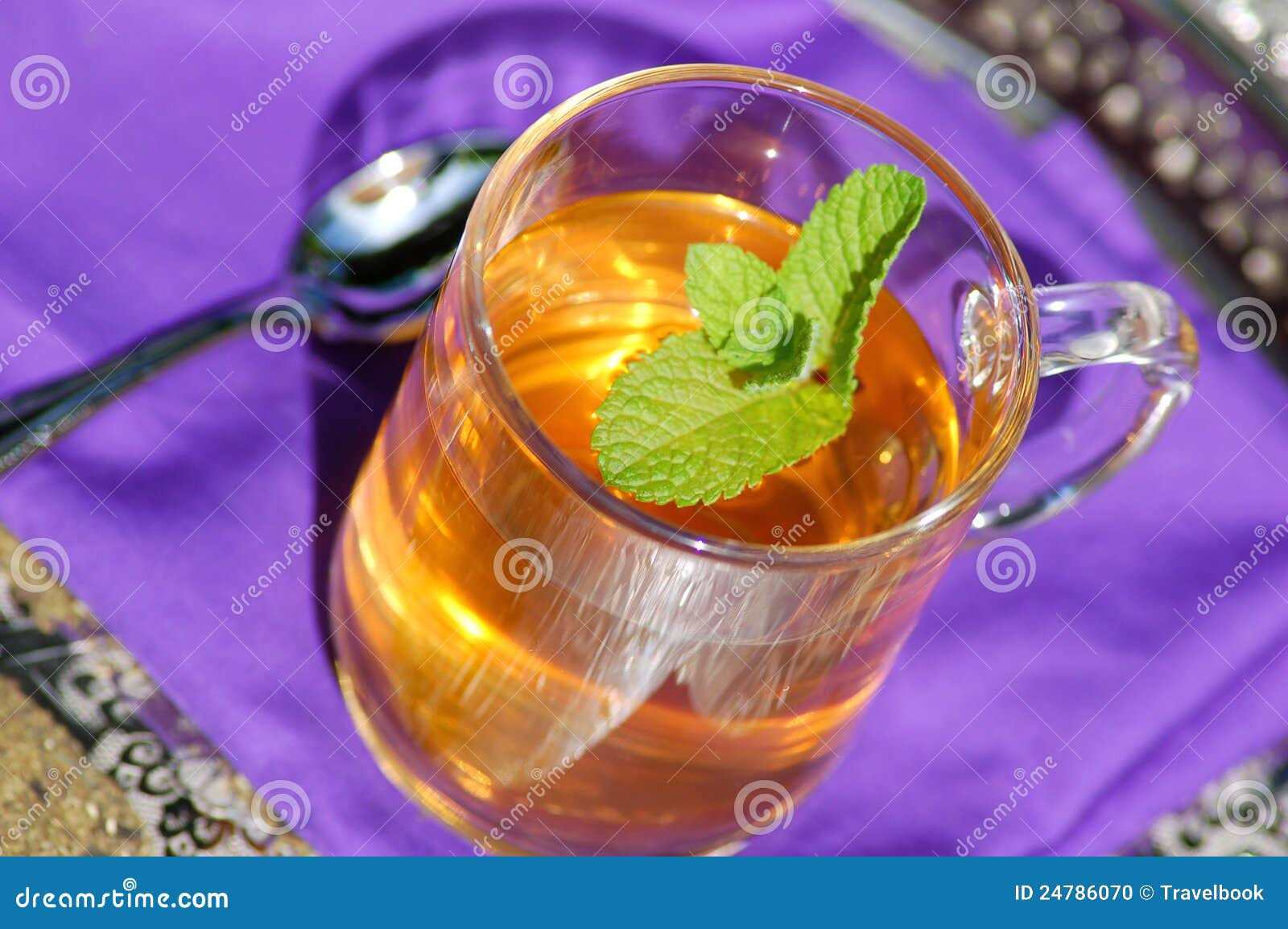 Herbal tea with mint stock photo. Image of refreshments 24786070