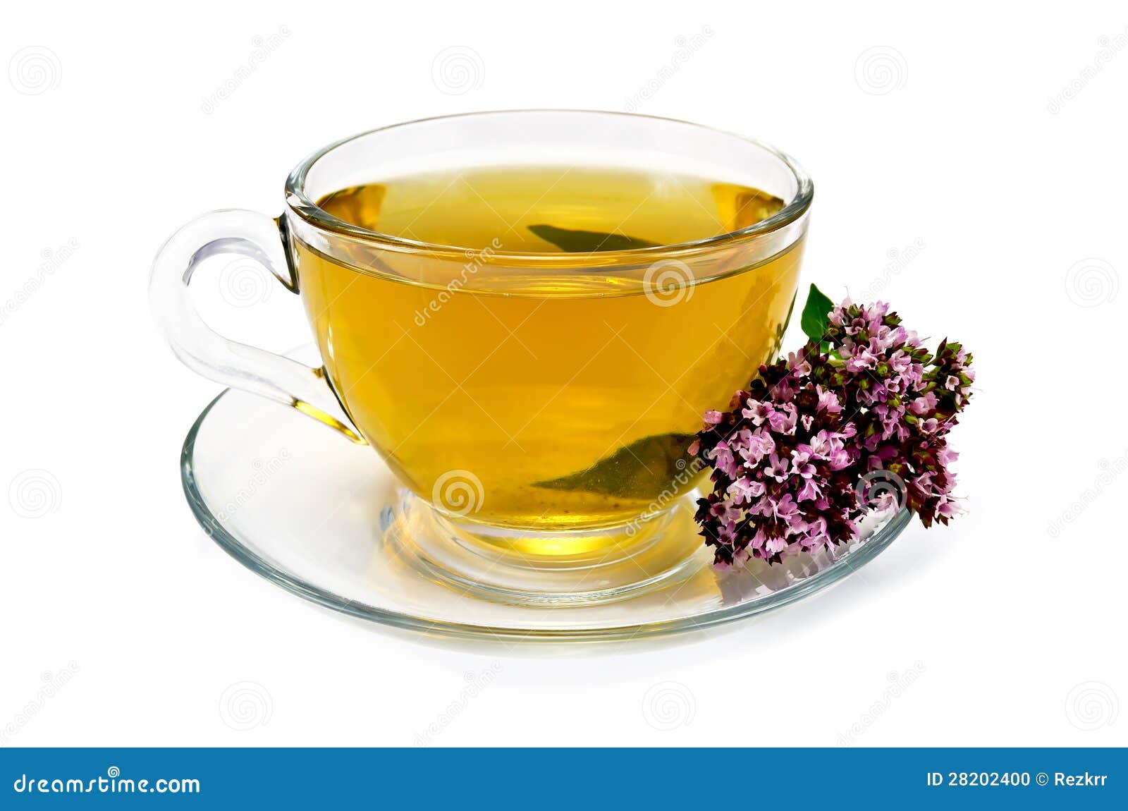 Herbal tea with oregano stock photo. Image of fresh, green 28202400