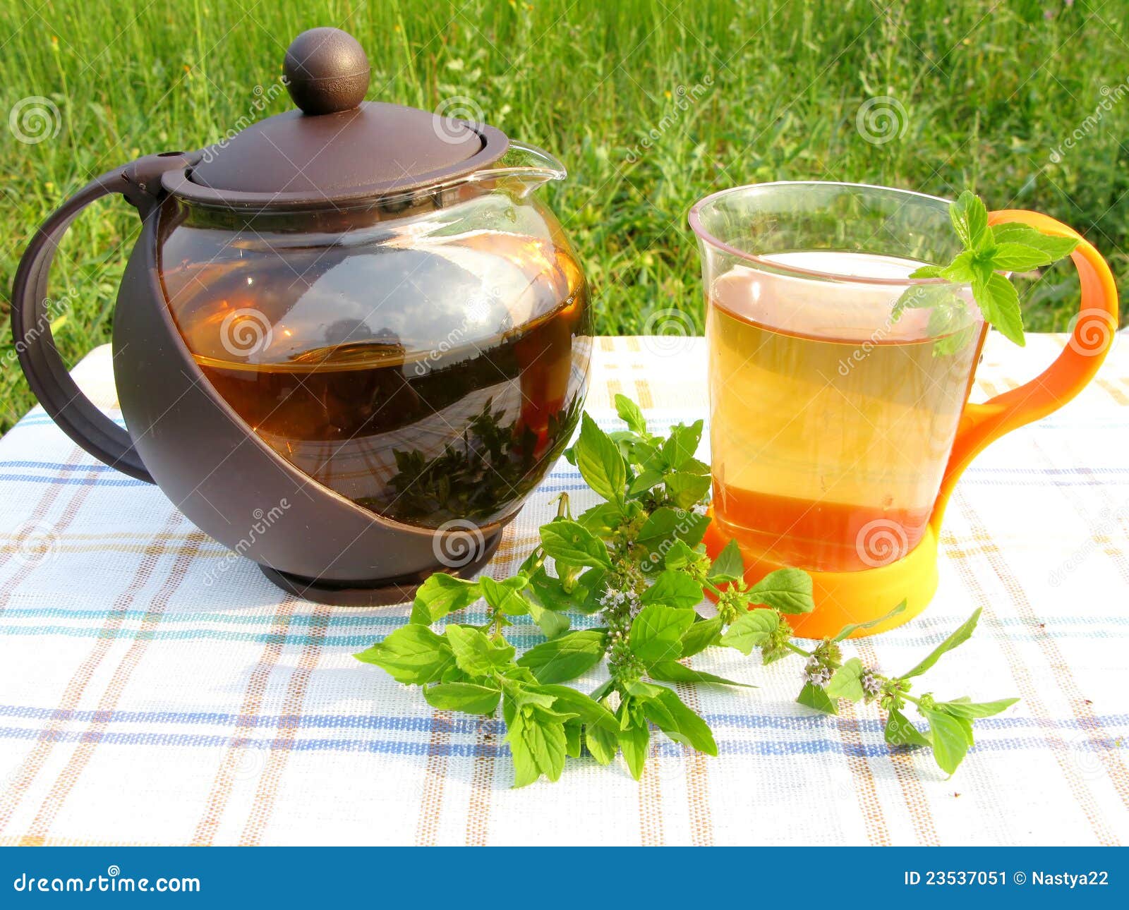Herbal Tea and Teapot with Fresh Mint Stock Image Image of healthy, beverage 23537051