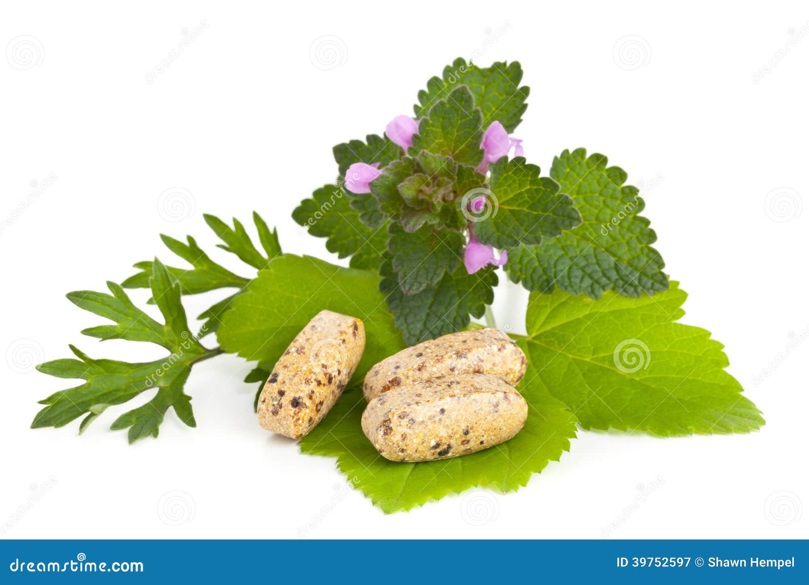 Herbal Vitamin and Supplement Pills with Herbs Stock Image Image of