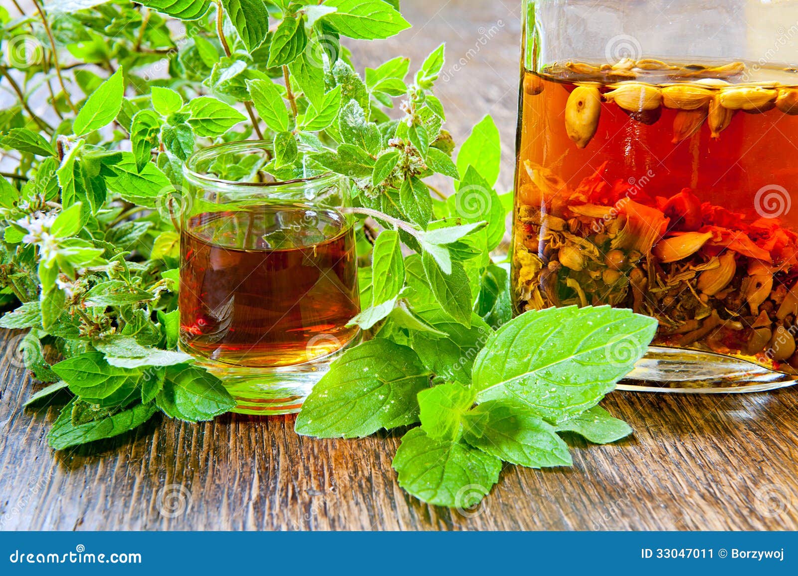 Herbal vodka stock image. Image of mint, herbs, grain 33047011