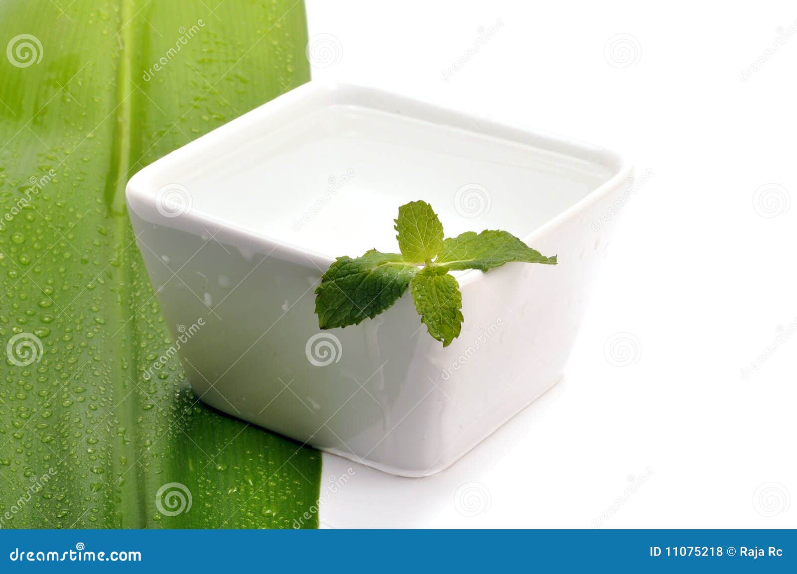 Herbal water stock photo. Image of background, mint, fresh 11075218