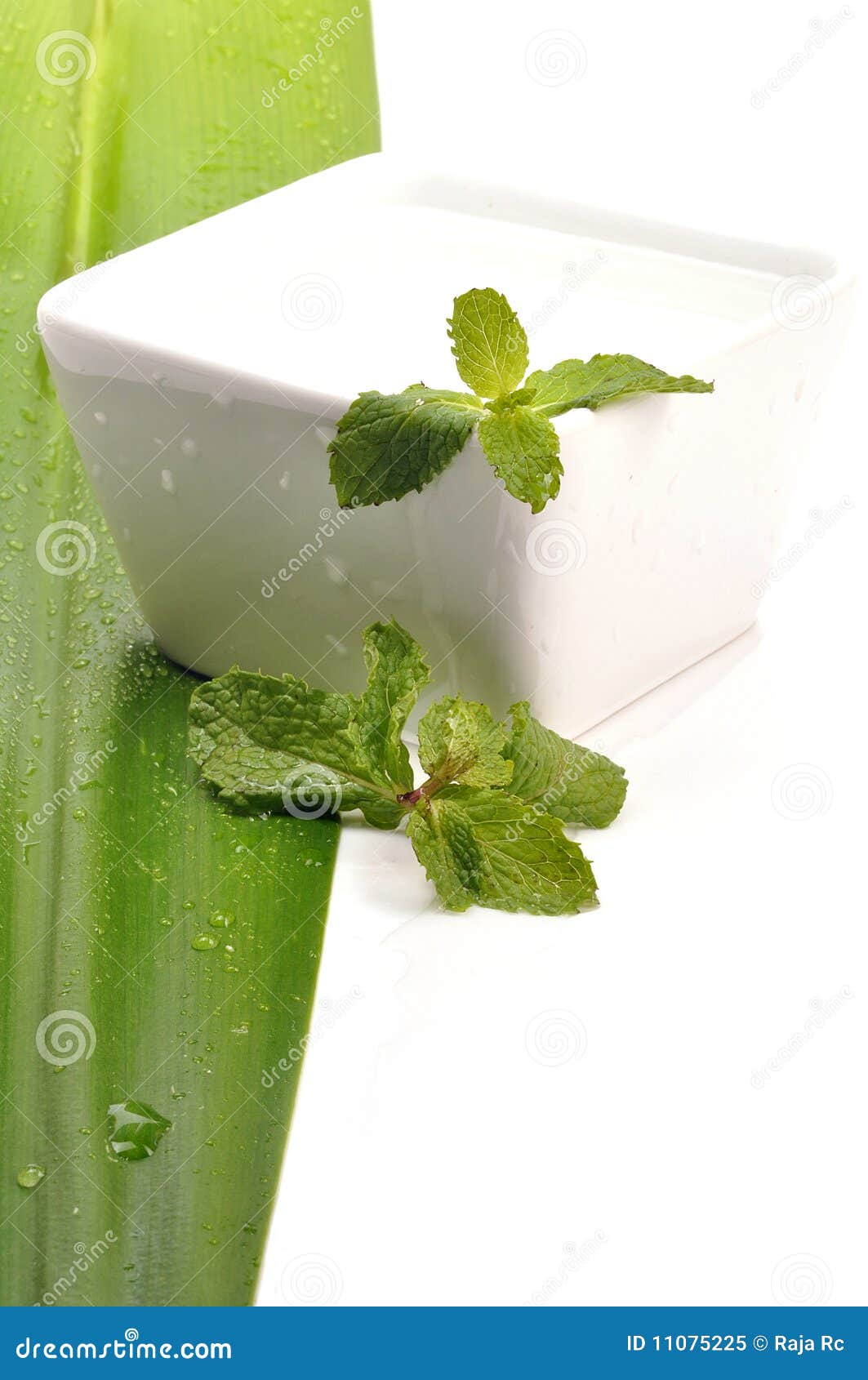 Herbal water stock image. Image of clear, leafs, drops 11075225