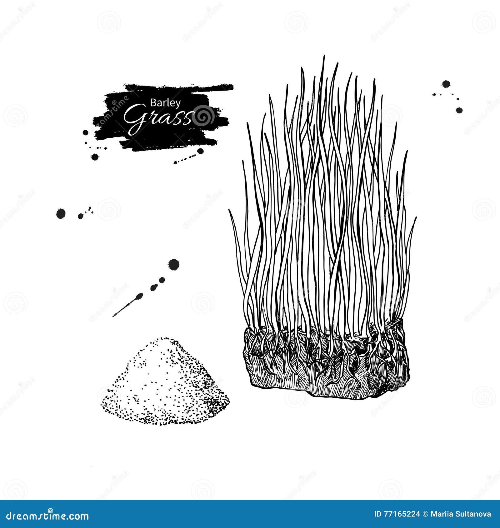 illustration stock herbe d orge et dessin de superfood de poudre d isolement image