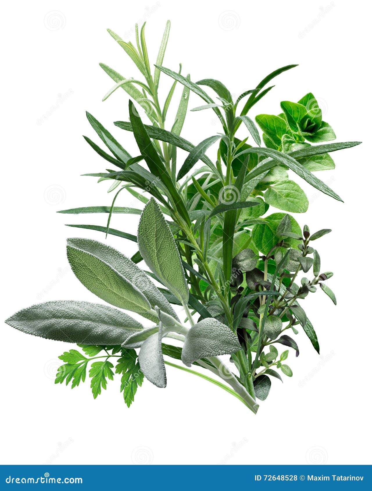 Herbes De Provence (Kombination Von Kräutern) Stockfoto Bild von