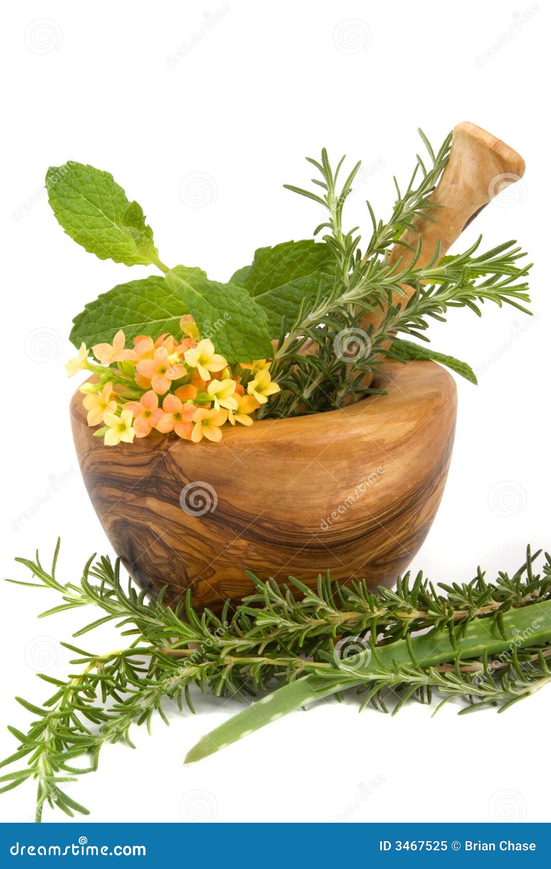 Herbs stock image. Image of plant, floral, handmade, organic 3467525
