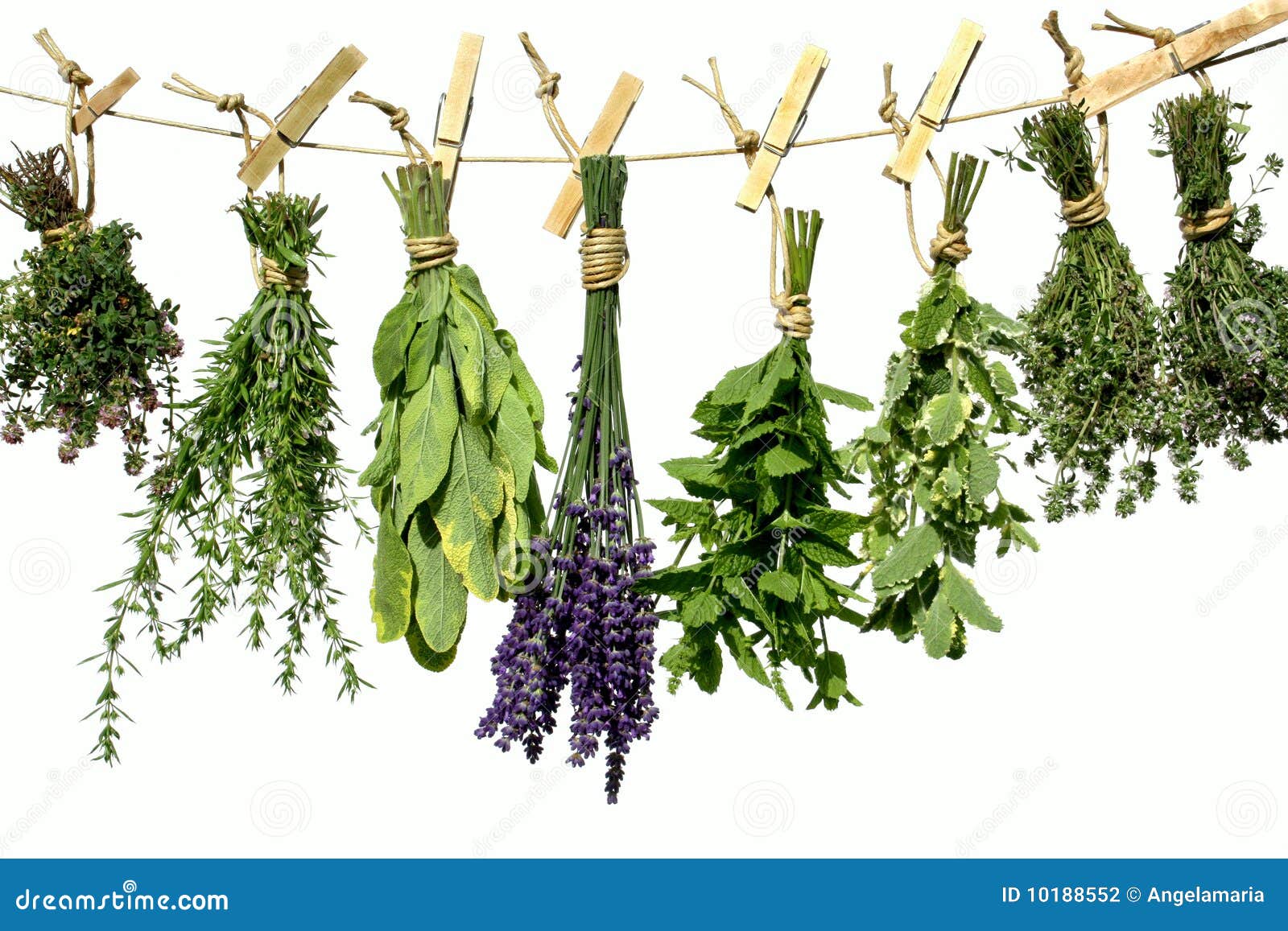 herbs on clothes line