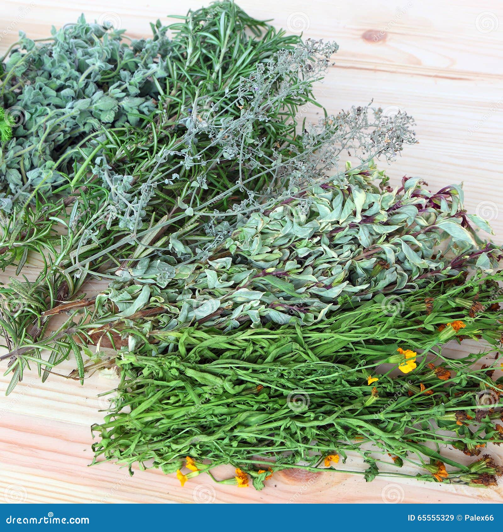 Herbs for cooking stock image. Image of mediterranean 65555329