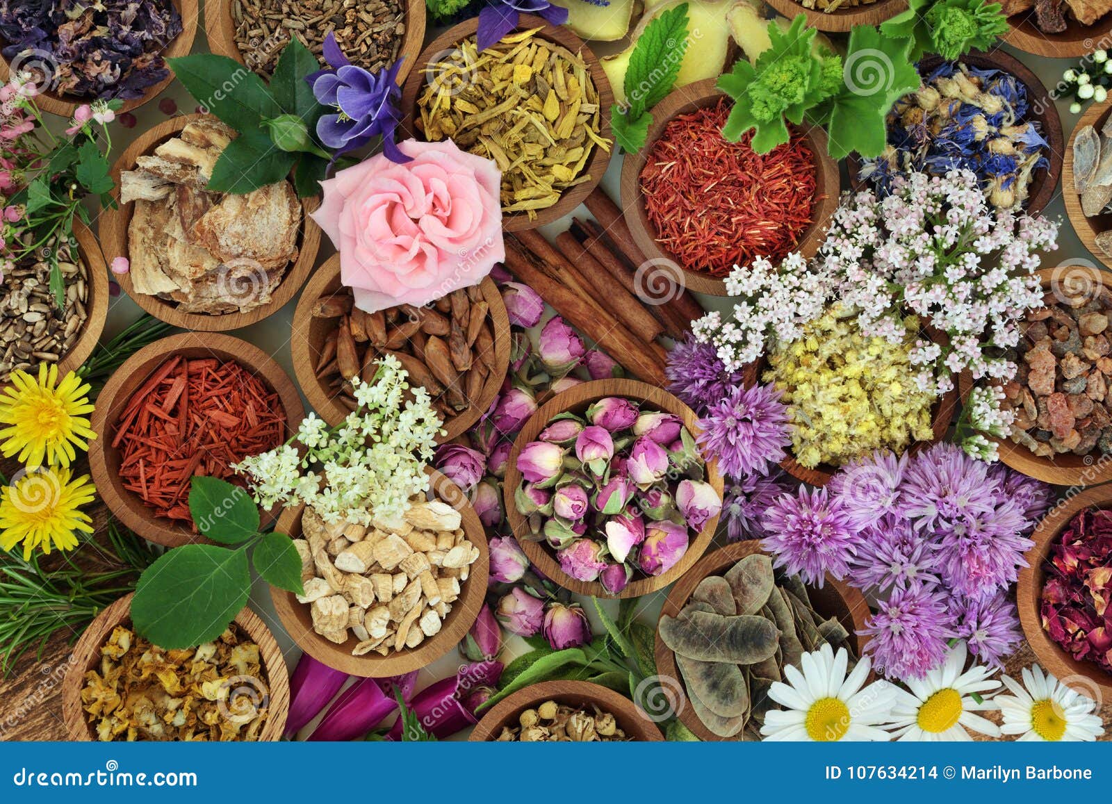 herbal medicine background