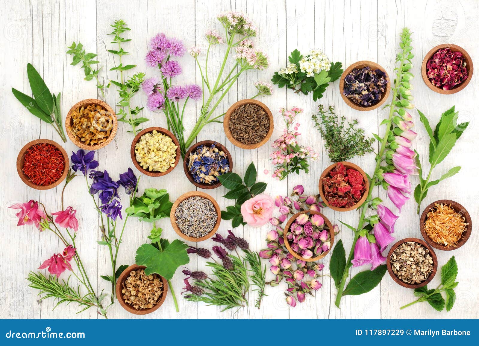 herbs and flowers for herbal medicine