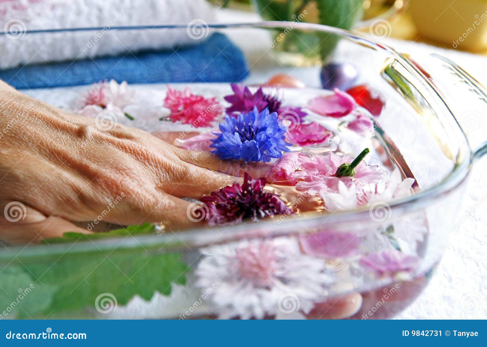 Herbs And Flowers For Woman Hands Care Stock Image Image of care