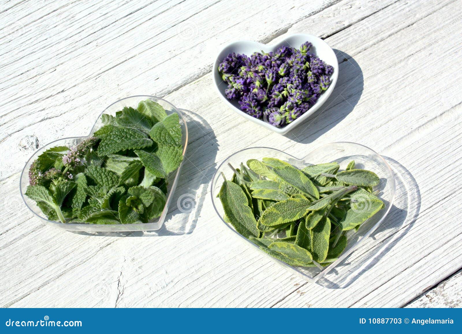 Herbs in Heart Shaped Dishes Stock Image Image of fresh, herbs 10887703