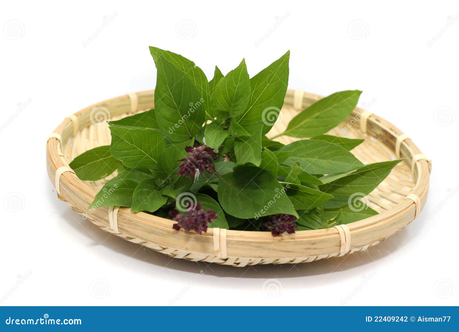 Herbs leaf stock photo. Image of closeup, plant, herbal 22409242