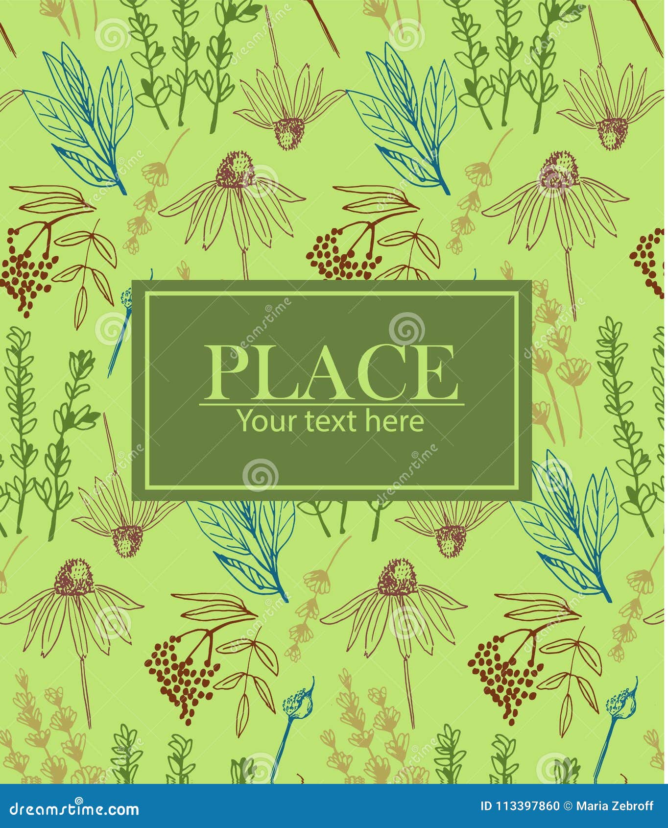 Herbs And Medicinal Plants Collection Background Stock Vector