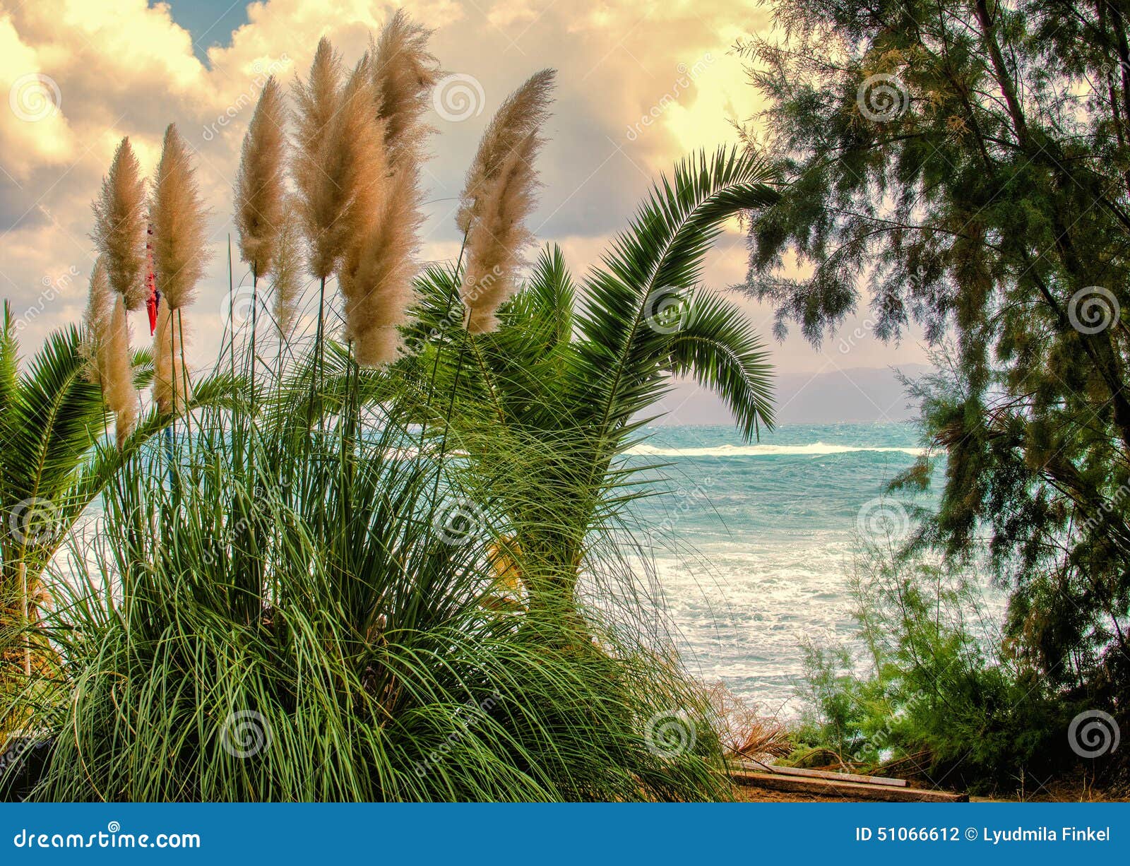 Herbs and Sea stock photo. Image of idyllic, coast, beautiful 51066612