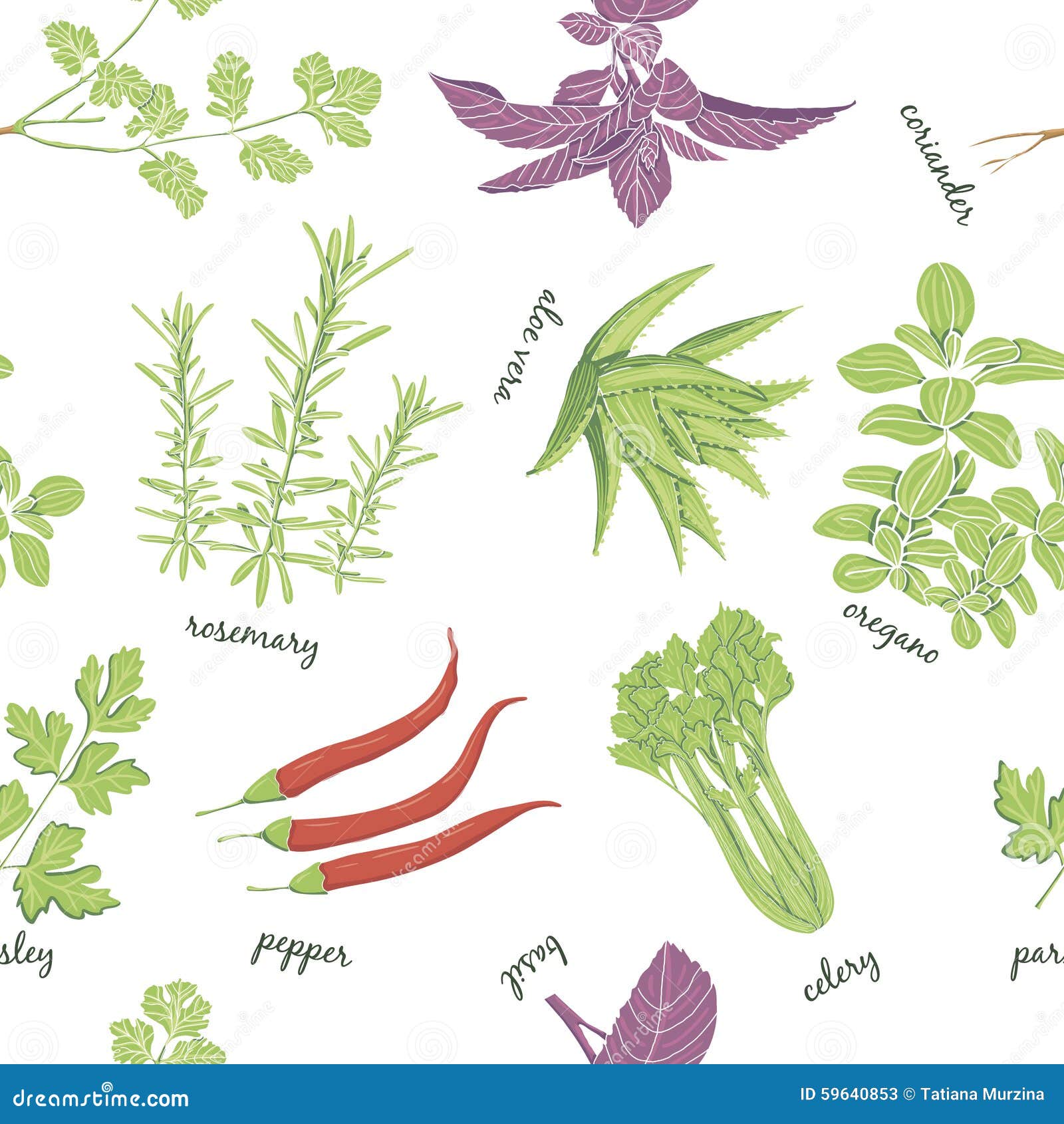 Herbs Set Seamless Pattern. . Cartoon Vector 59640853