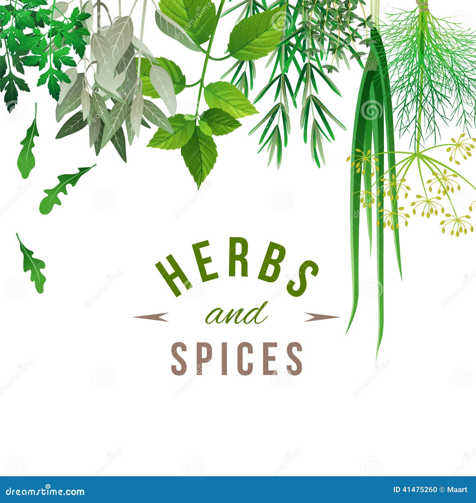 Download Herbs And Spices Stock Vector Illustration Of Isolated 41475260