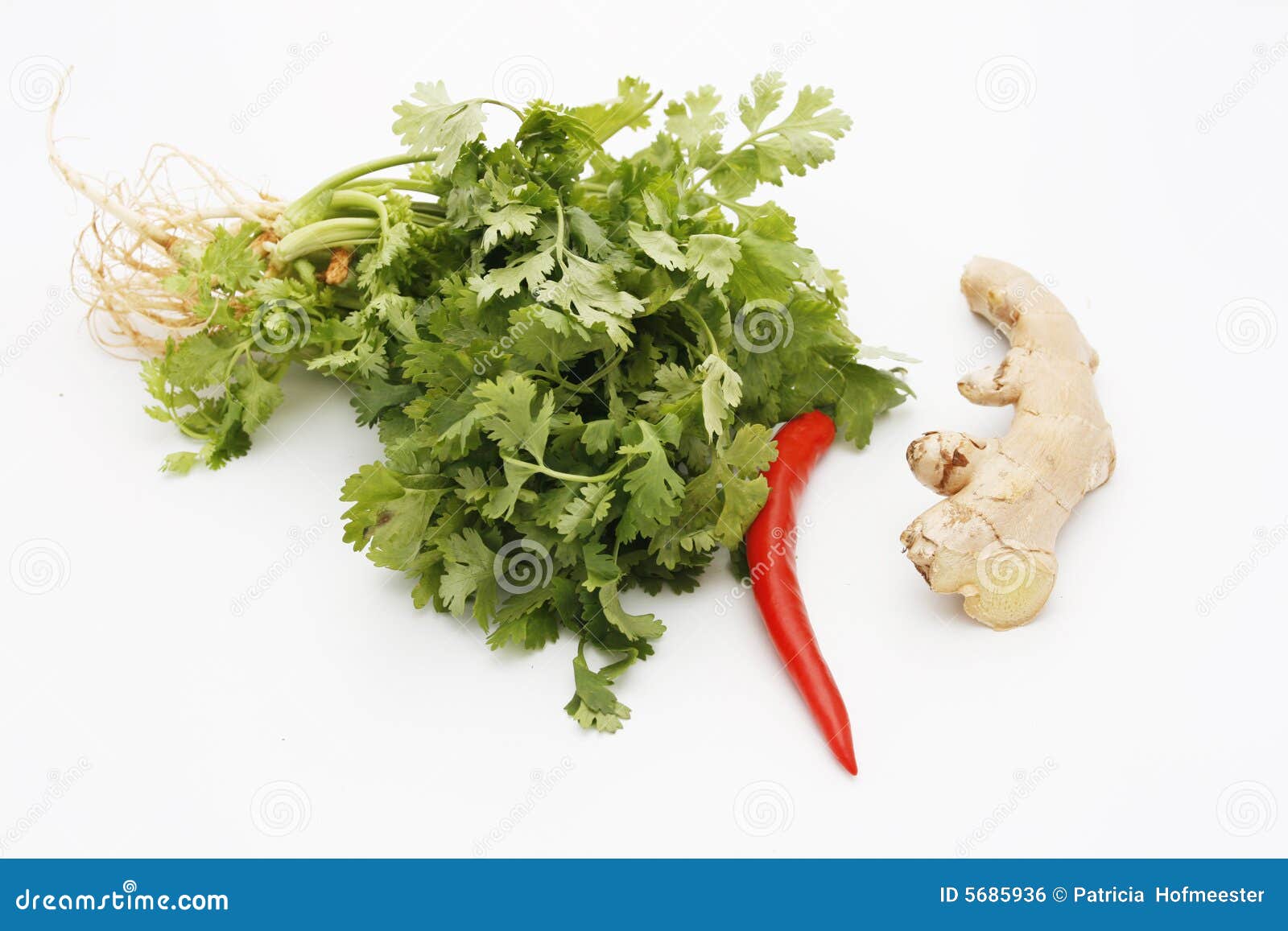 Herbs And Spices For Thai Food Royalty Free Stock Image Image 5685936
