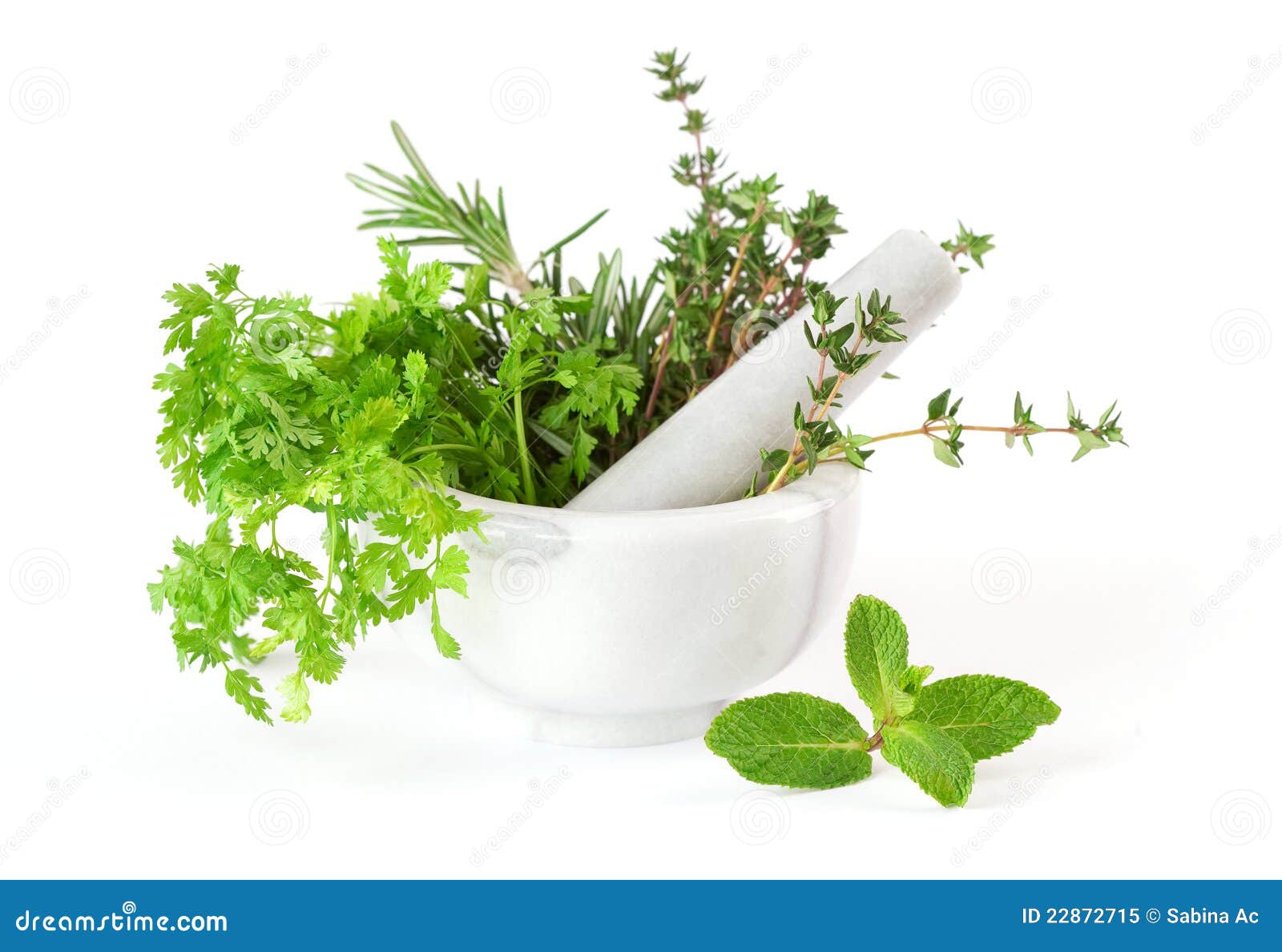 Herbs Whith Mortar and Pestle Stock Image Image of medicine, rosemary