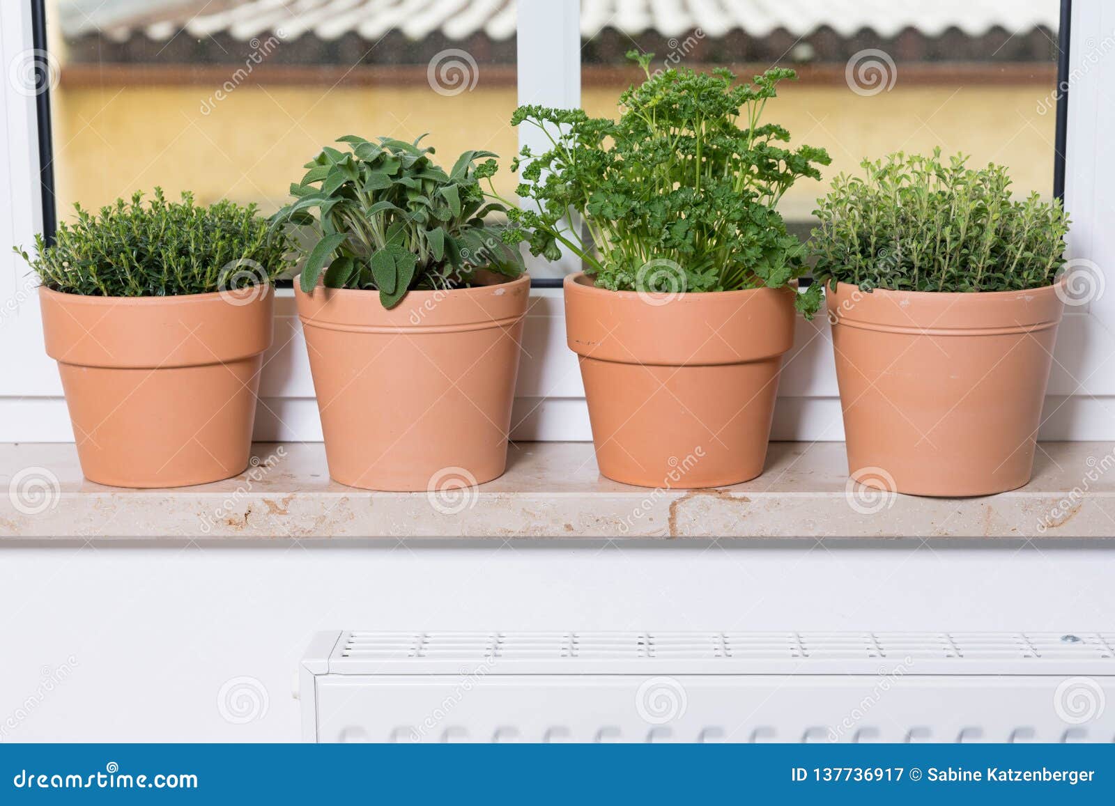 Herbs on a window sill stock image. Image of leaf, cuisine 137736917
