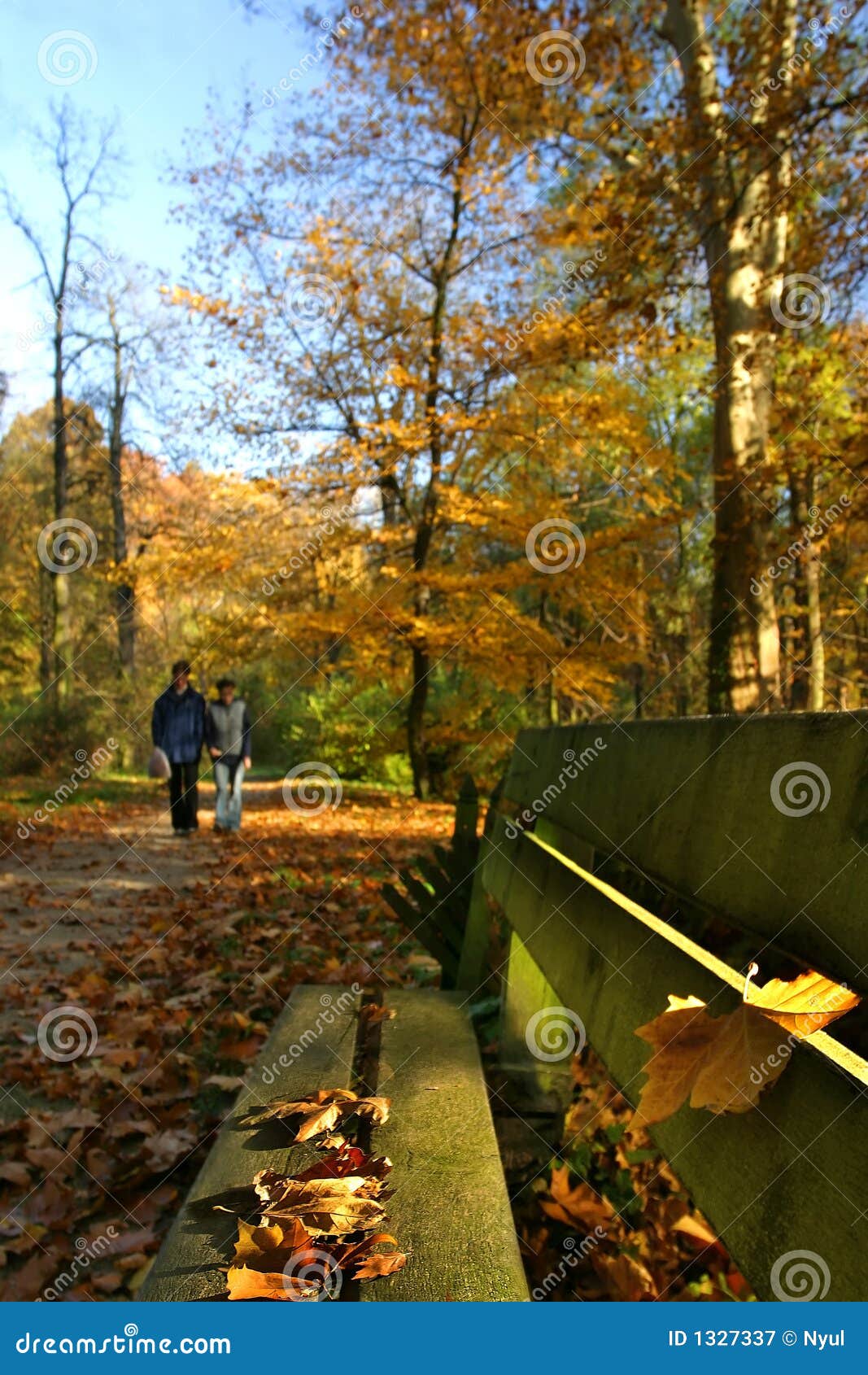 Gehen in das rostige Herbst contryside. Fokus wird auf die Bank in den Vordergrund gelegt, während der Hintergrund blured.