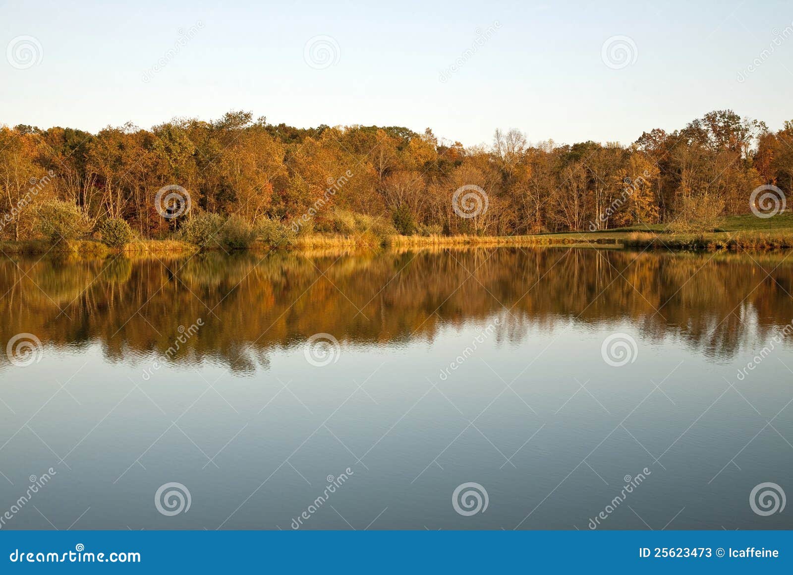Herbst-Landschaftwald mit See und Reflexion